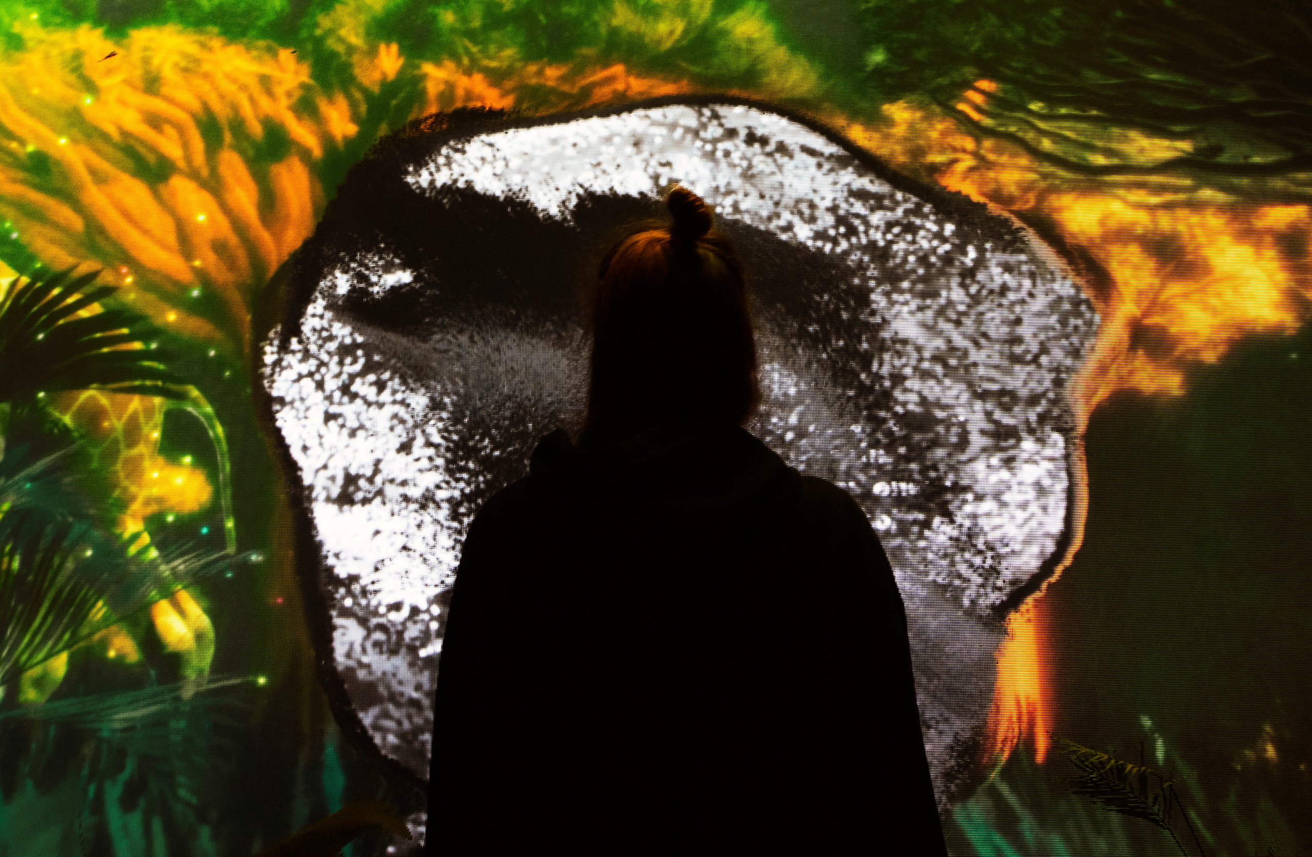 7 интерактивных инсталляций / COP 27. OOPS