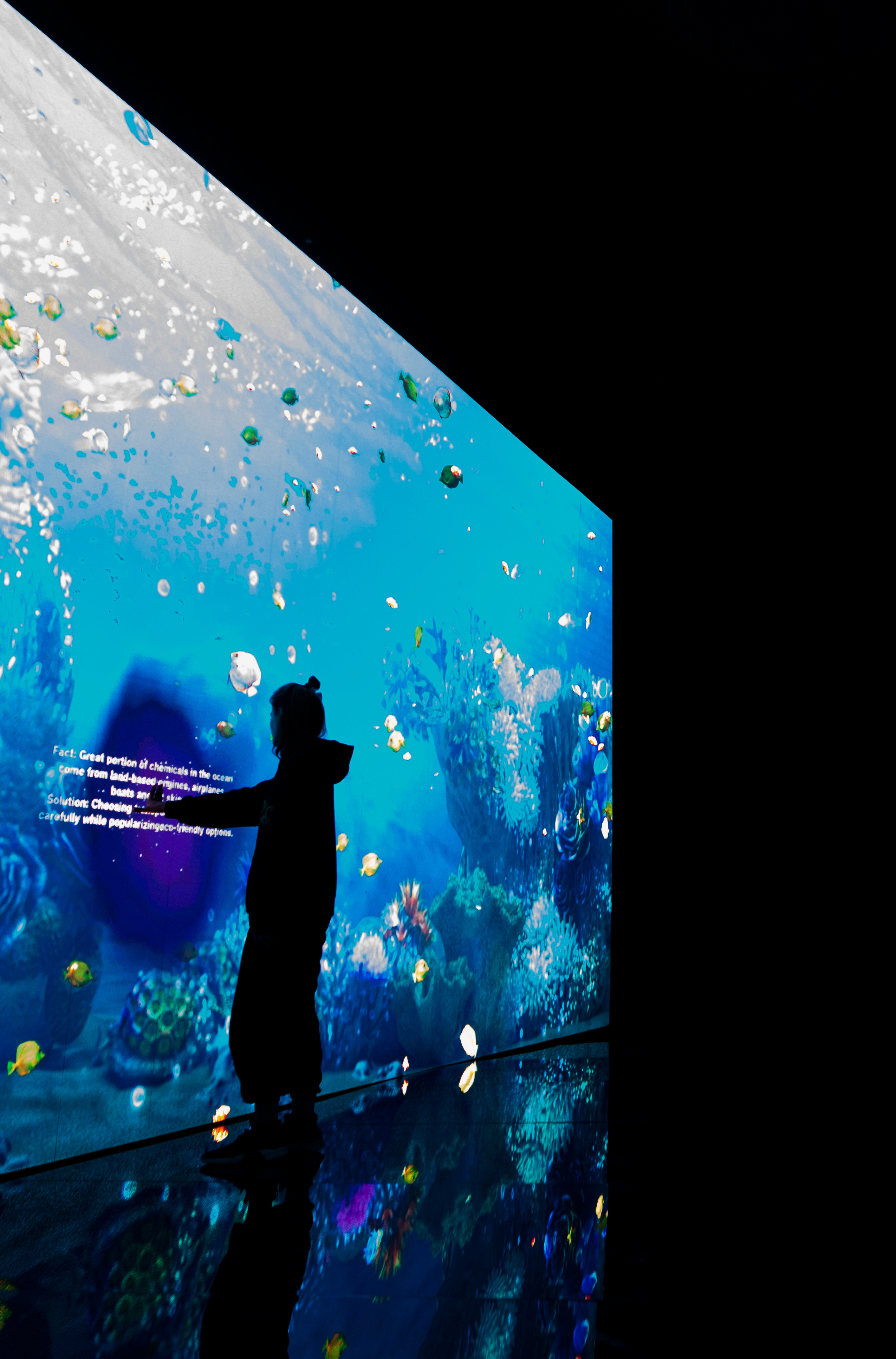 7 интерактивных инсталляций / COP 27. OOPS