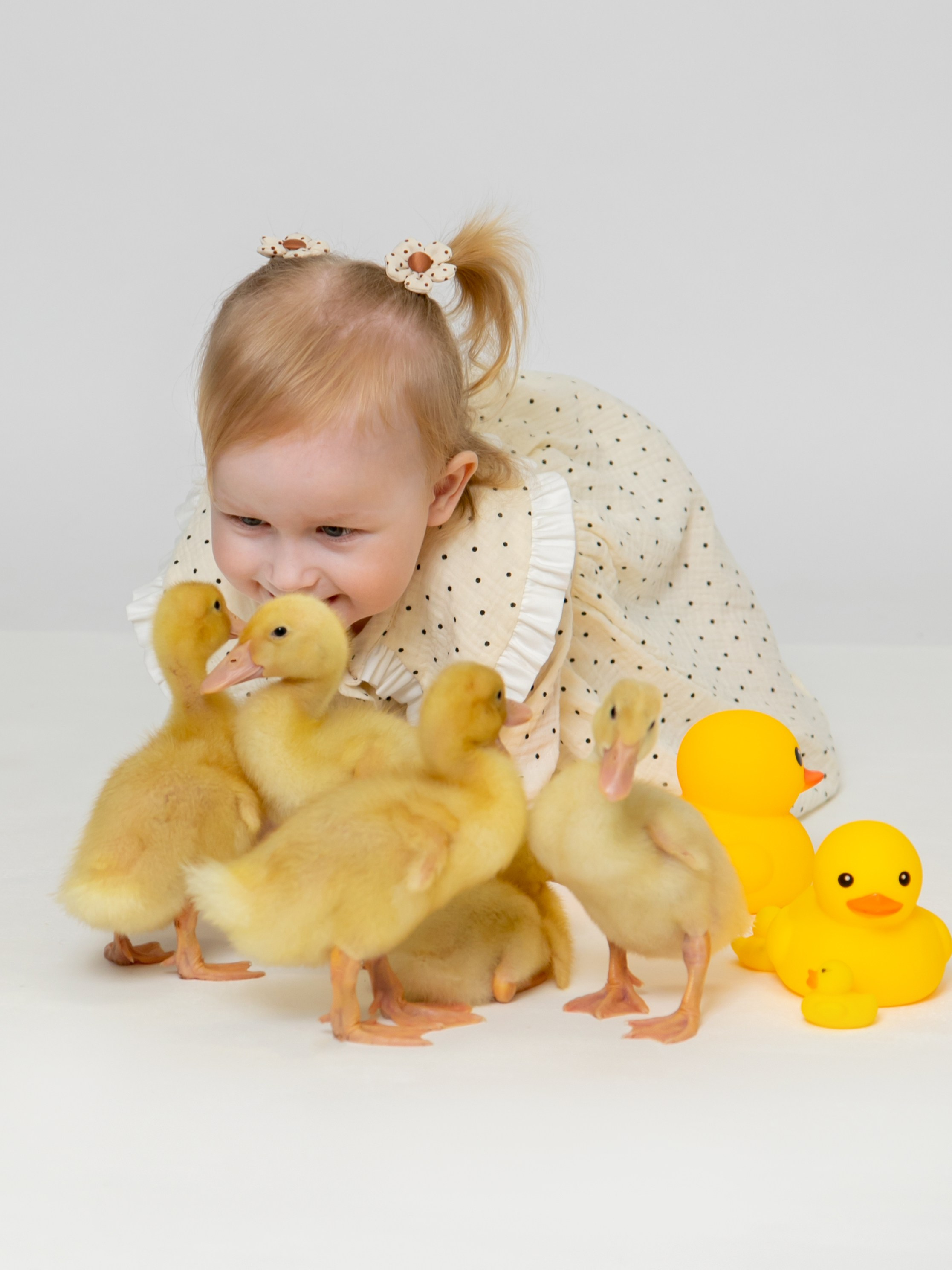 Фотосессия с живыми утятами. Надежда Рыжова, портретная и контент-съемка в Челябинске