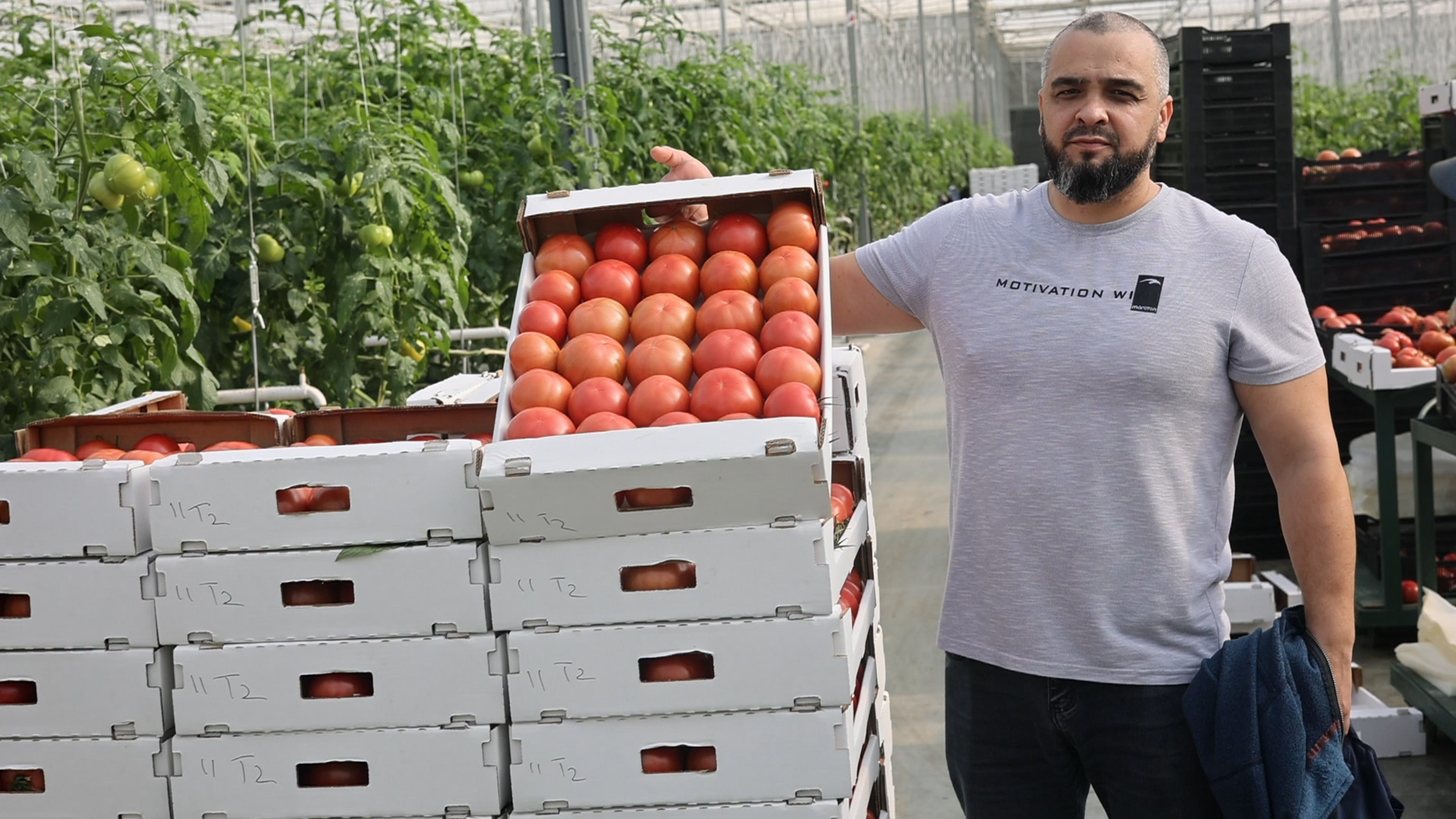 БИОЭНЕРГИЯ — Производство субстрата для теплиц, маты для выращивания