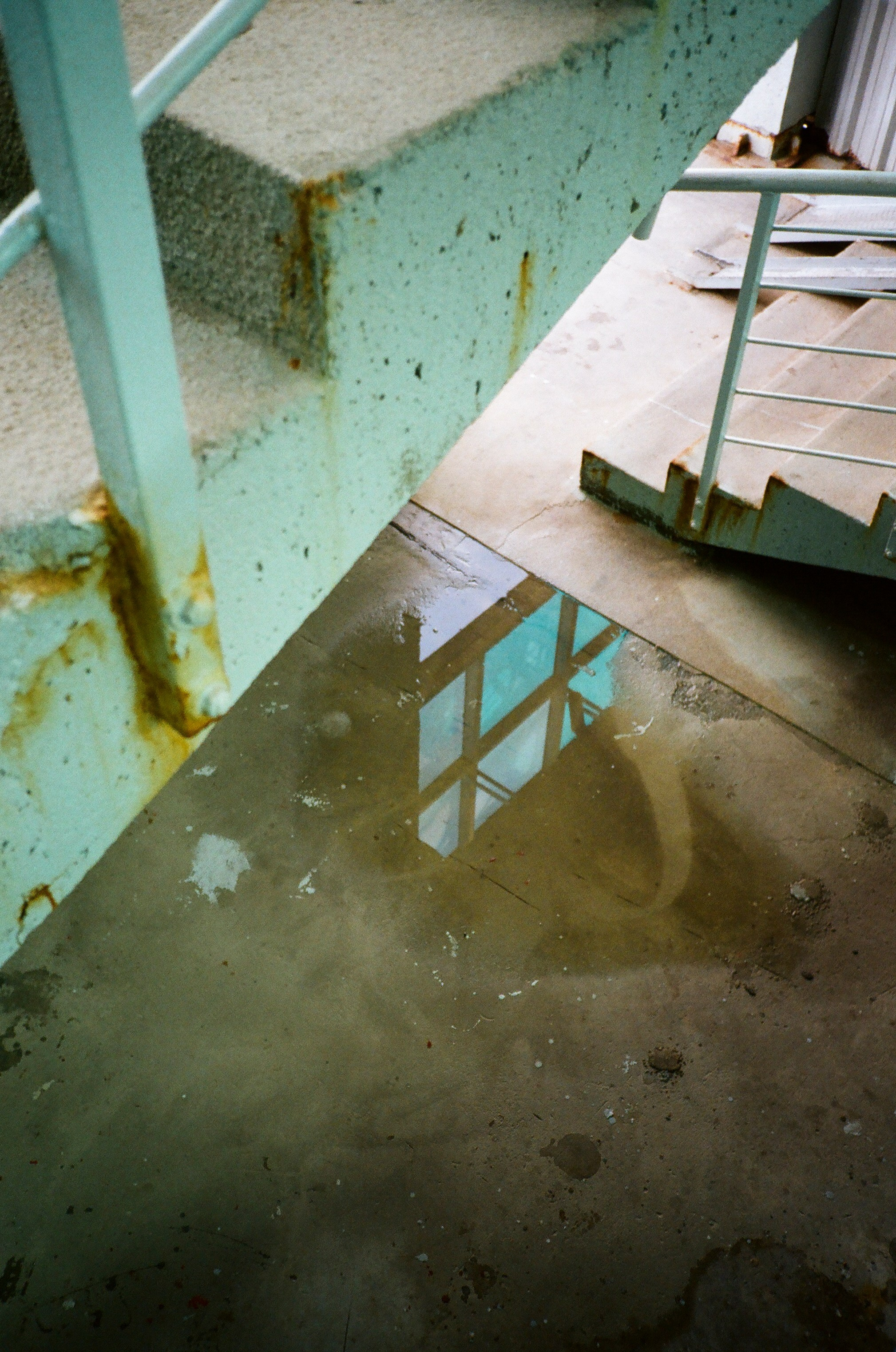 Kodak Gold 200, 2024