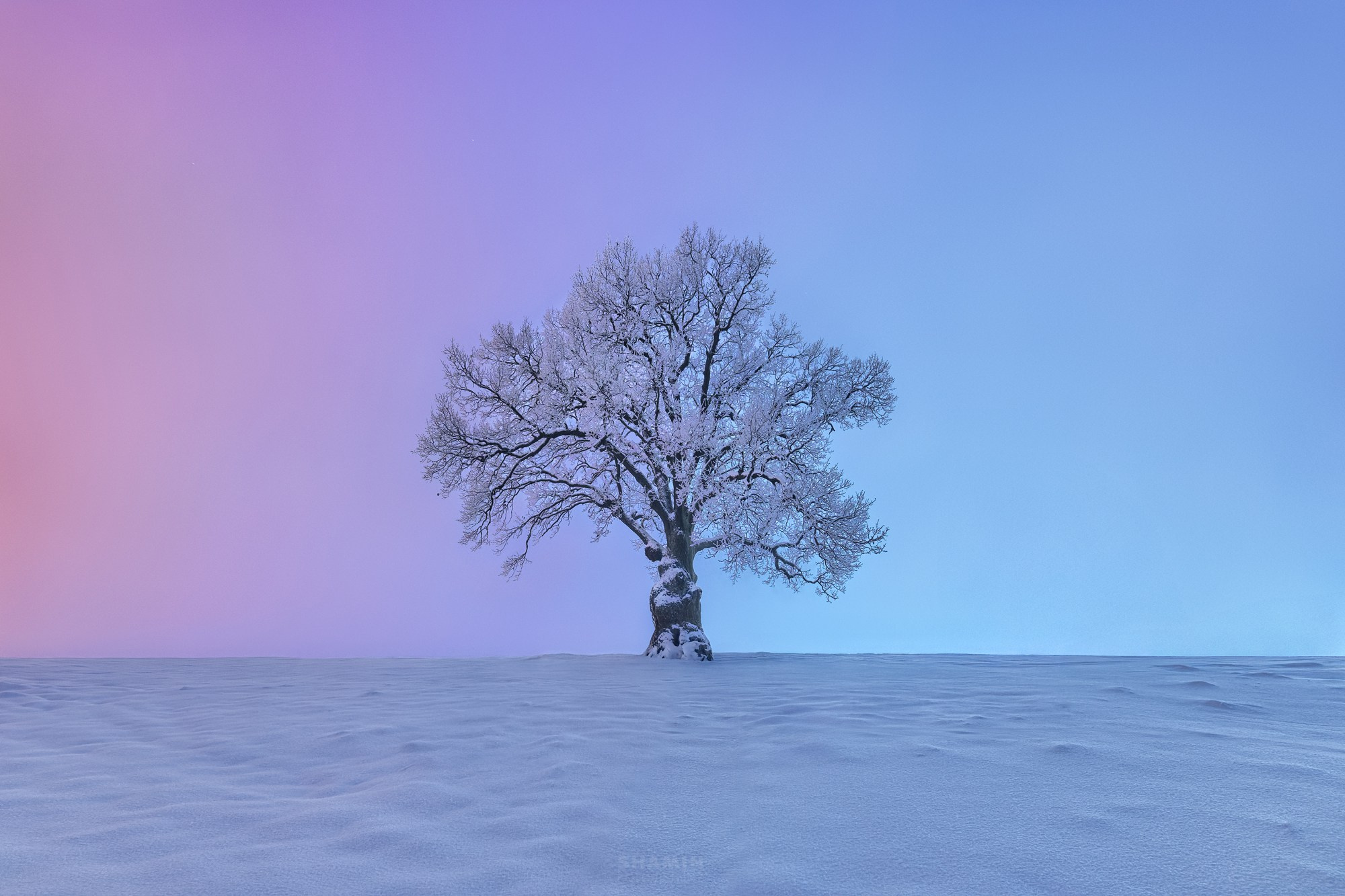 Проект 365. Фотограф Константин Шамин