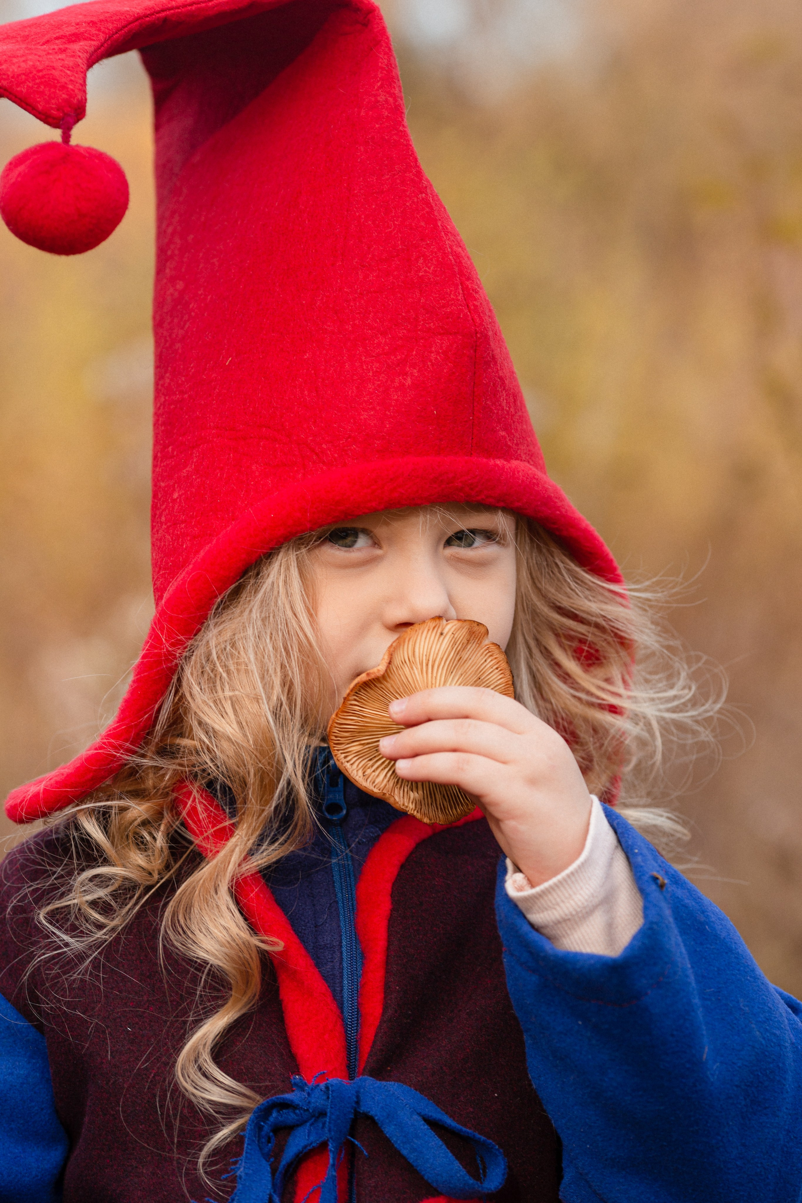 Лесные гномы