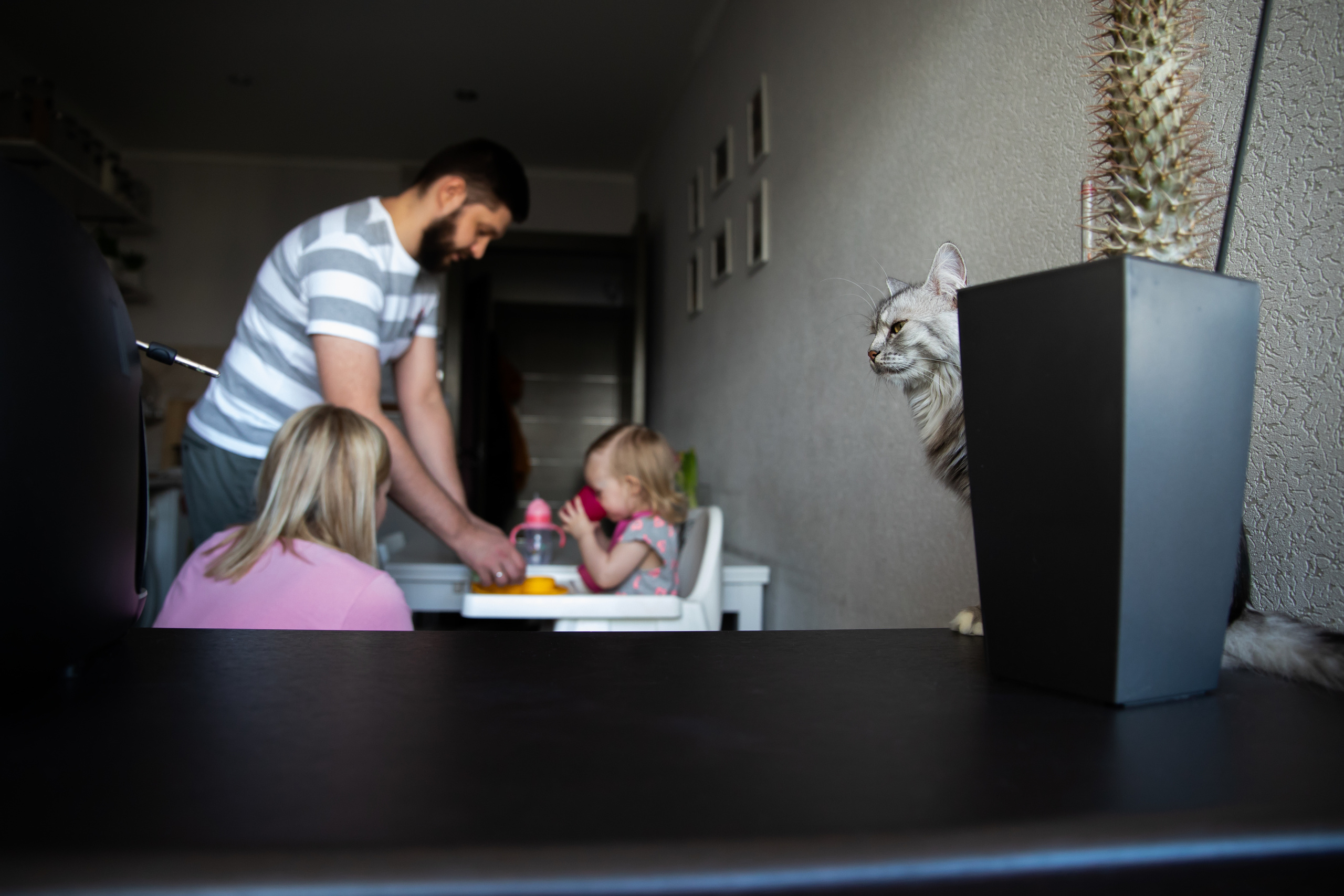 Алёнкина семья..... Детский и семейный фотограф в Москве Алёна Шестунова