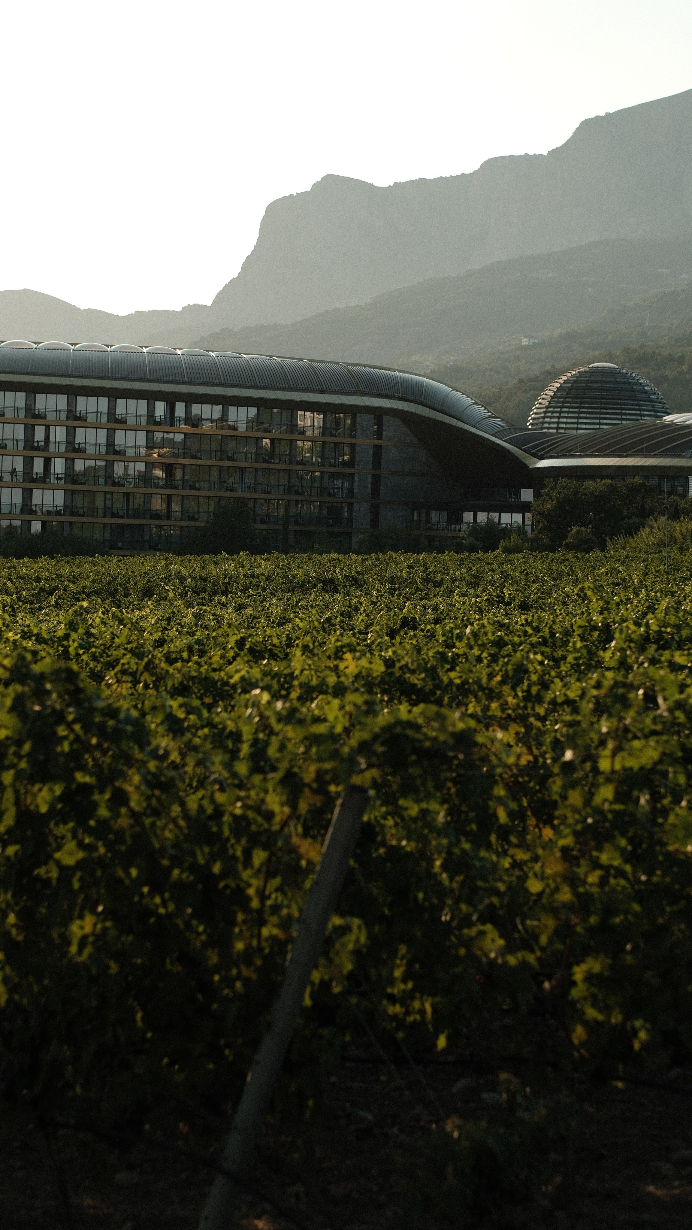 GAIGER PARADISE — Фоторай Гайгера | Фотограф МСК