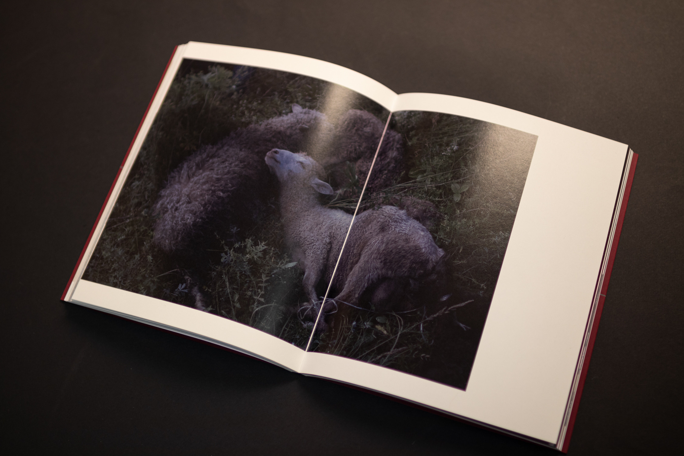 Books. Dmitry Ermakov. Documentary photographer