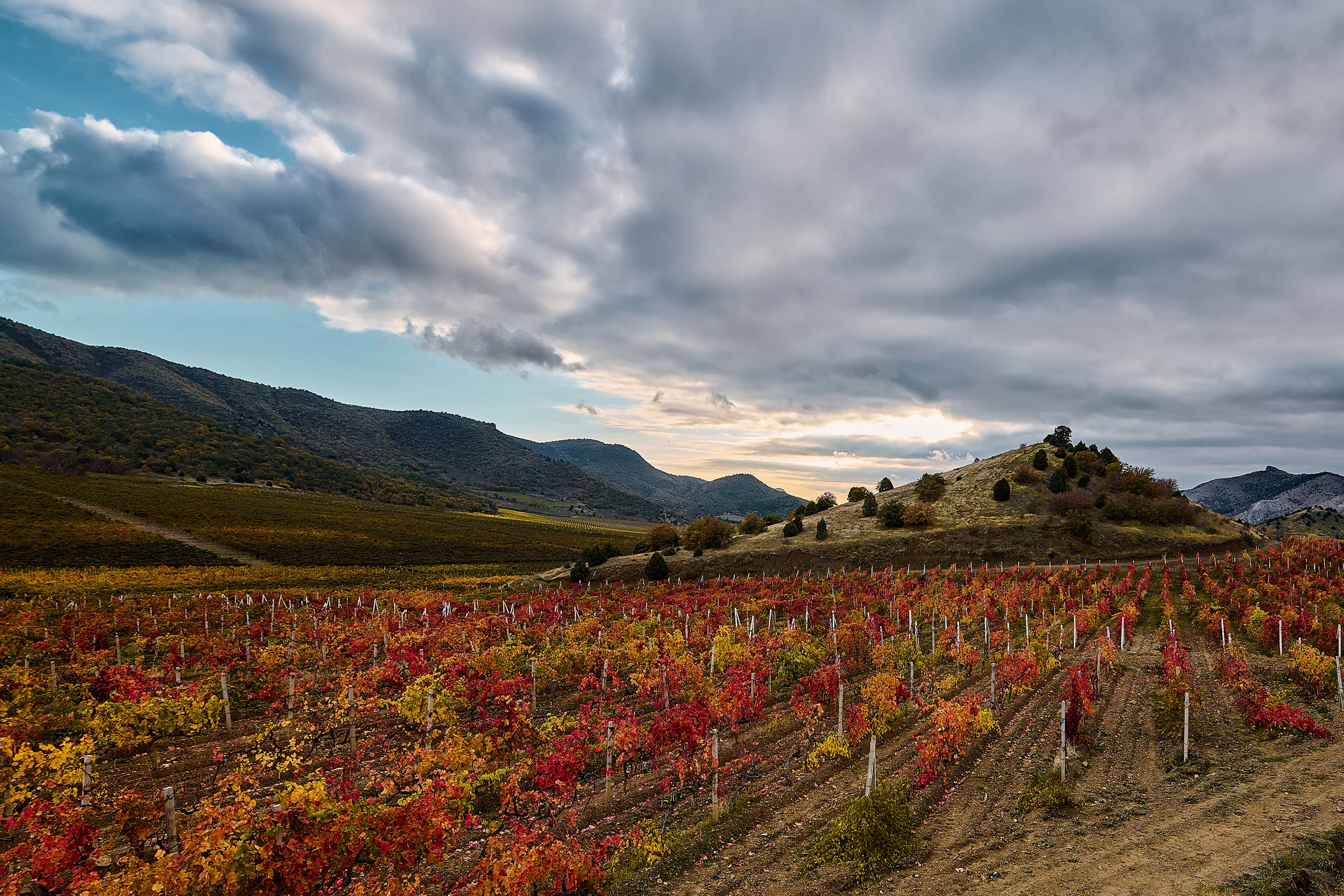 Пейзажи. Яркие фото на Чёрном море