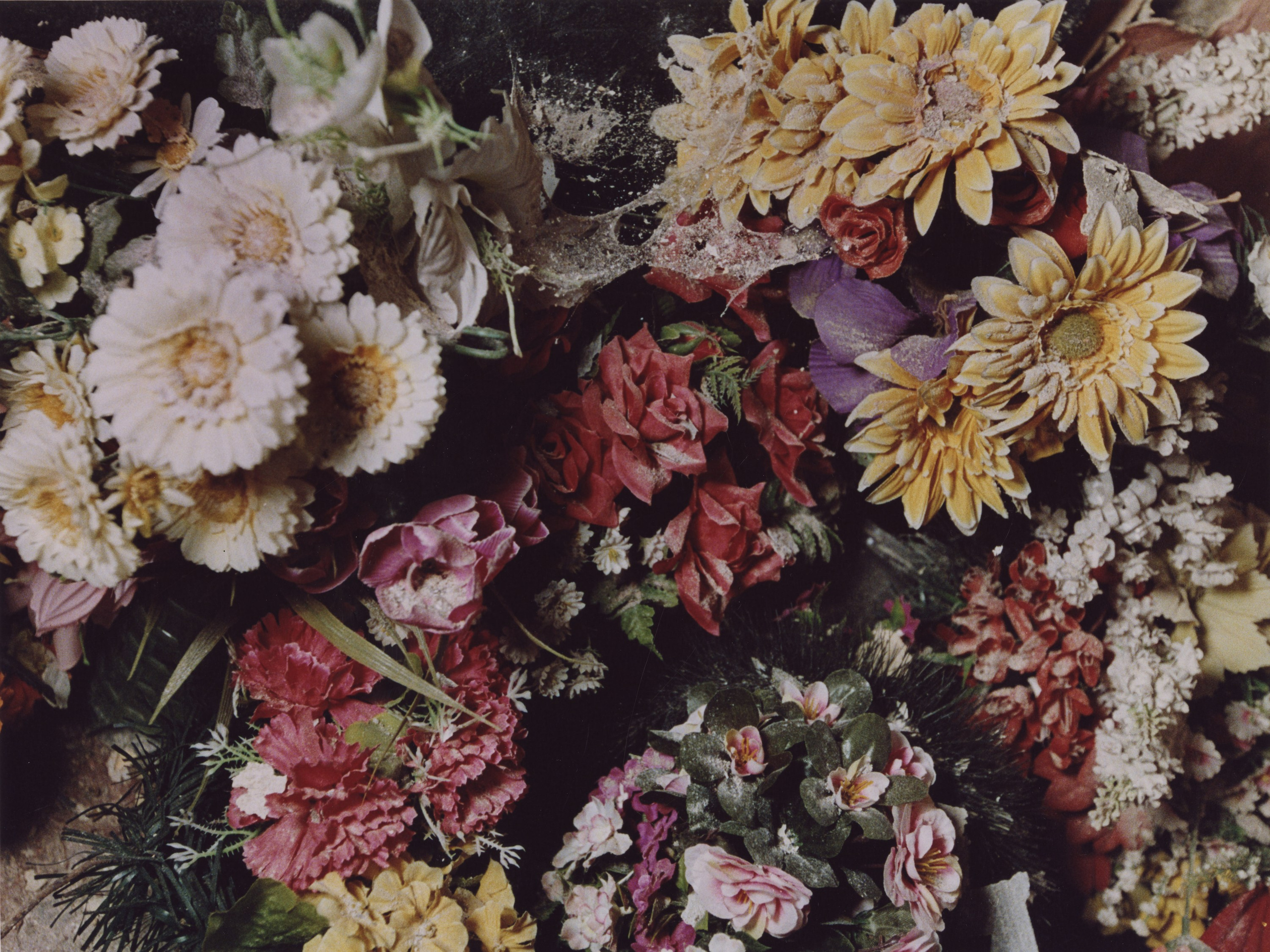 STILL LIFE. Photographer Olya Pegova