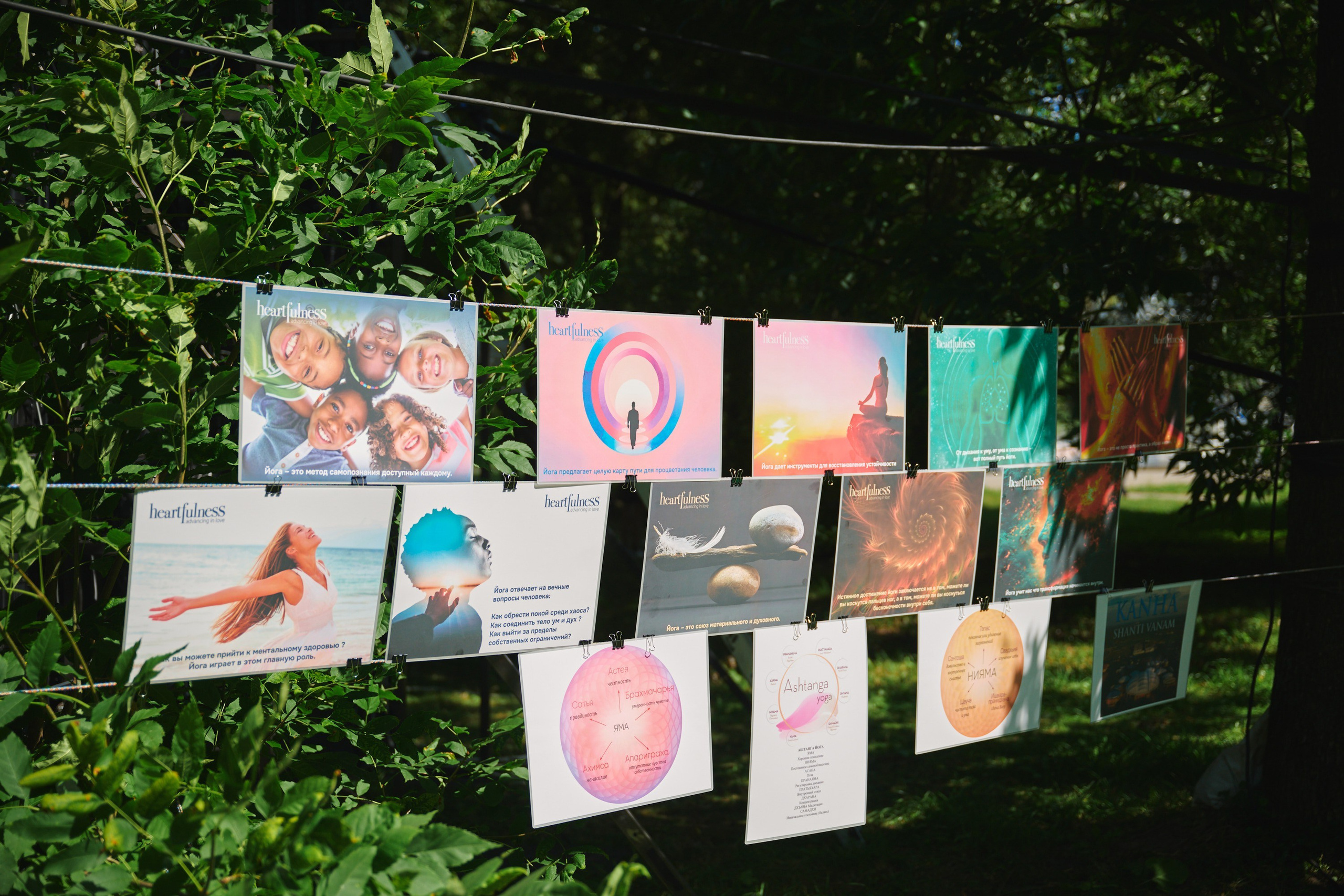 Ива фест 2025. Фотограф в Иваново: Каталожная съемка одежды и постельного белья, Wildberries