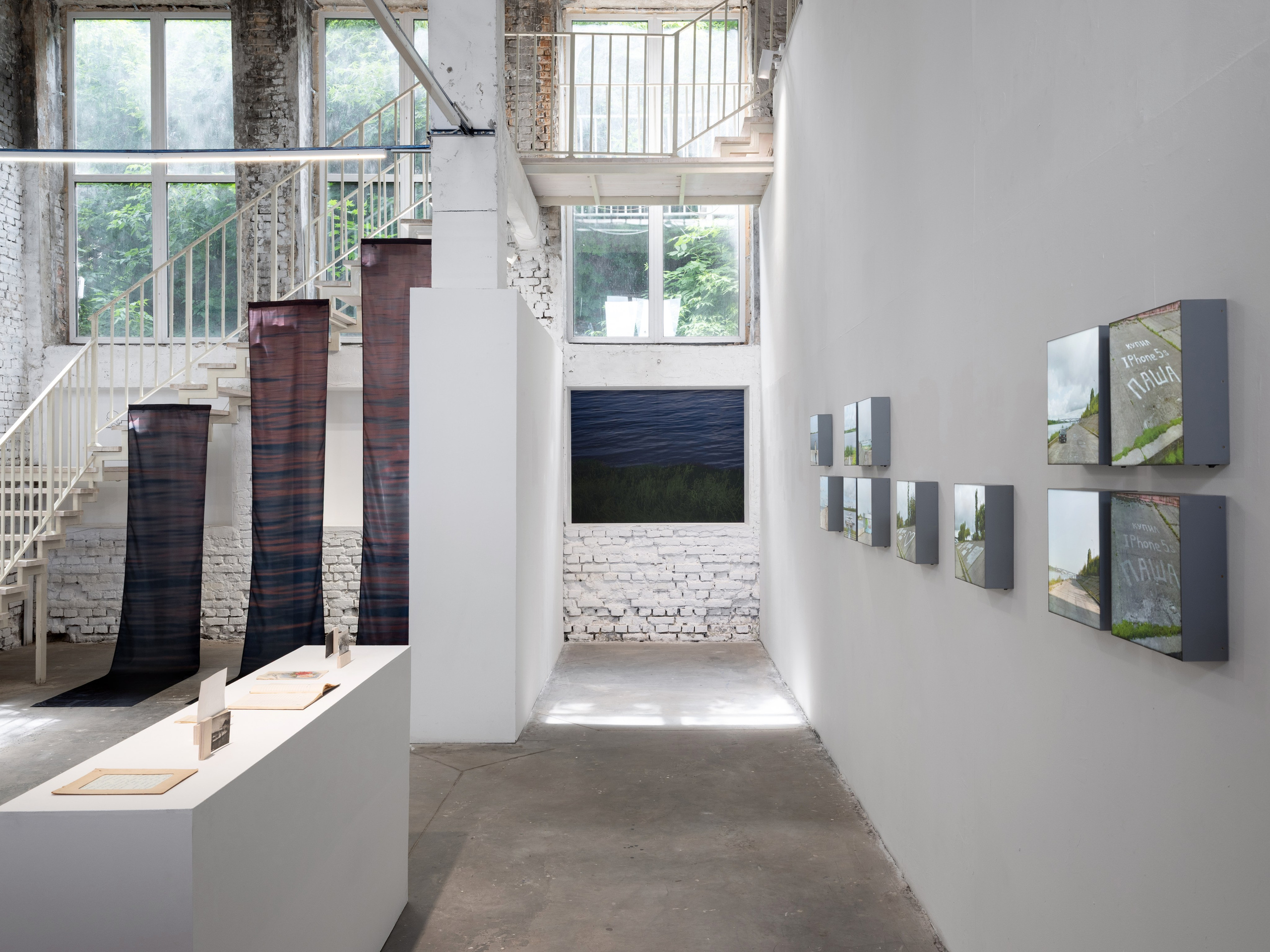 3530. Ksenia Inverse visual artist