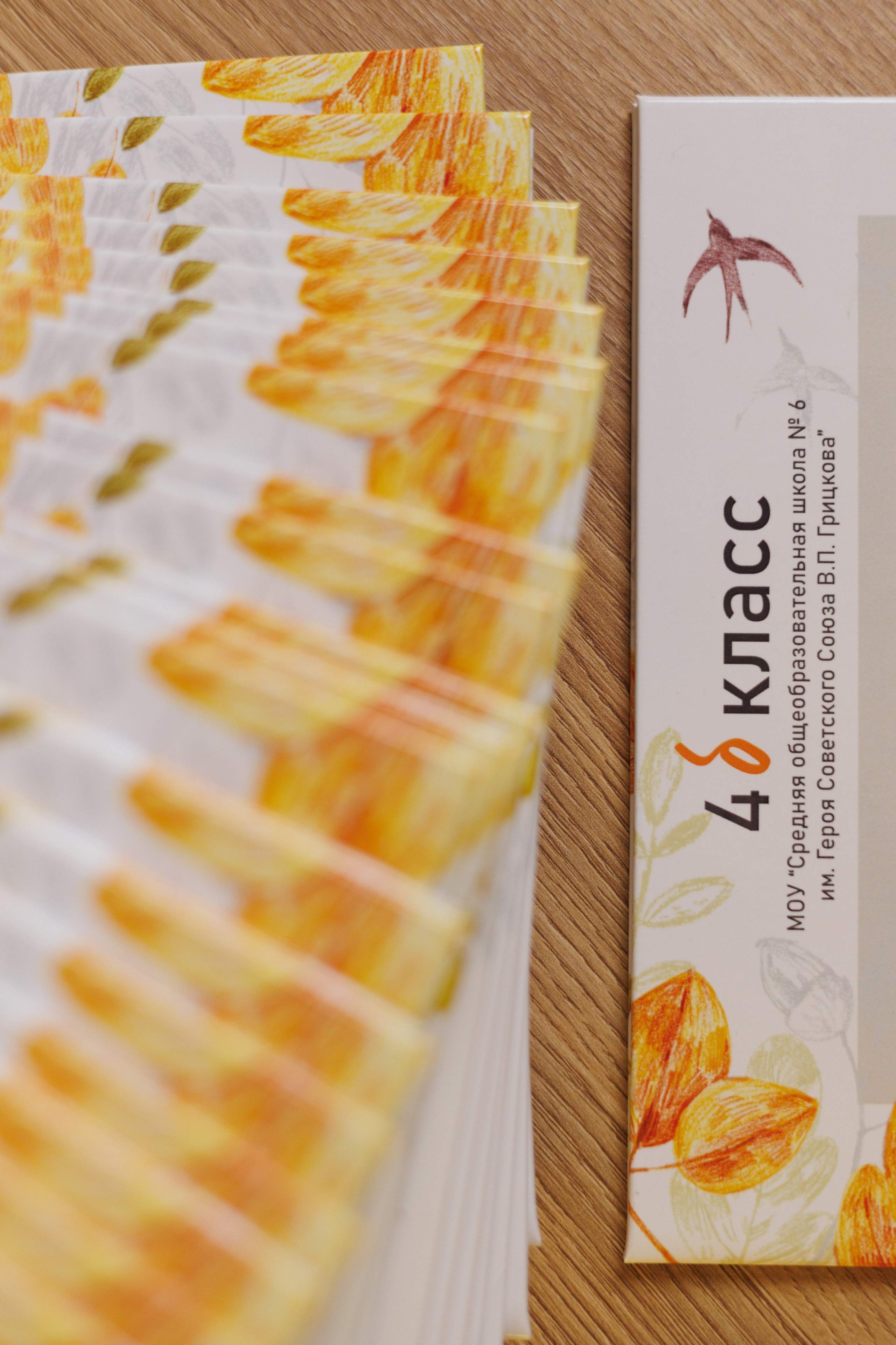 1 разв. для Цен-2. Выпускные альбомы в Луге/Школьные съёмки