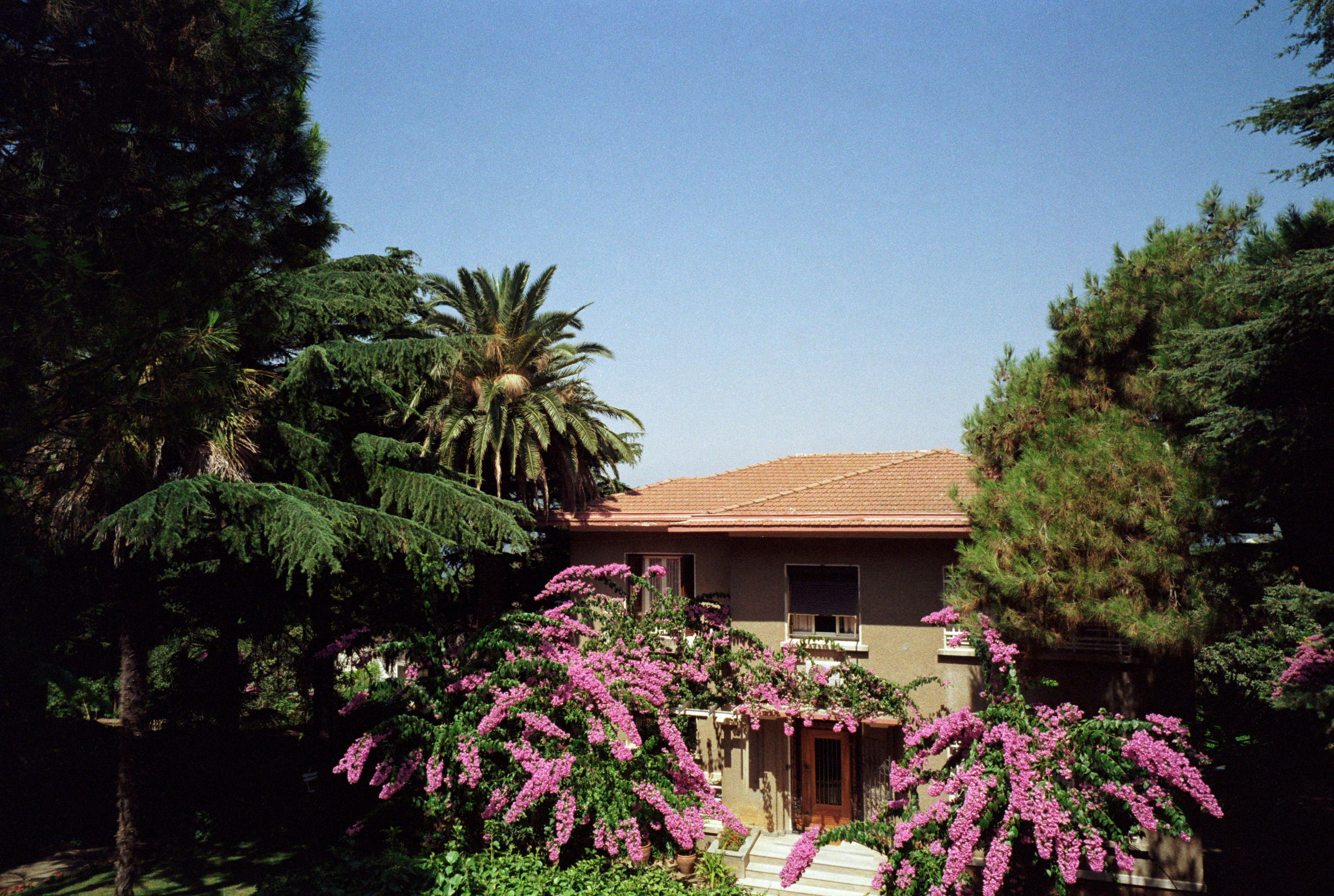 Istanbul / Türkiye. Фотограф Юрин Евгений