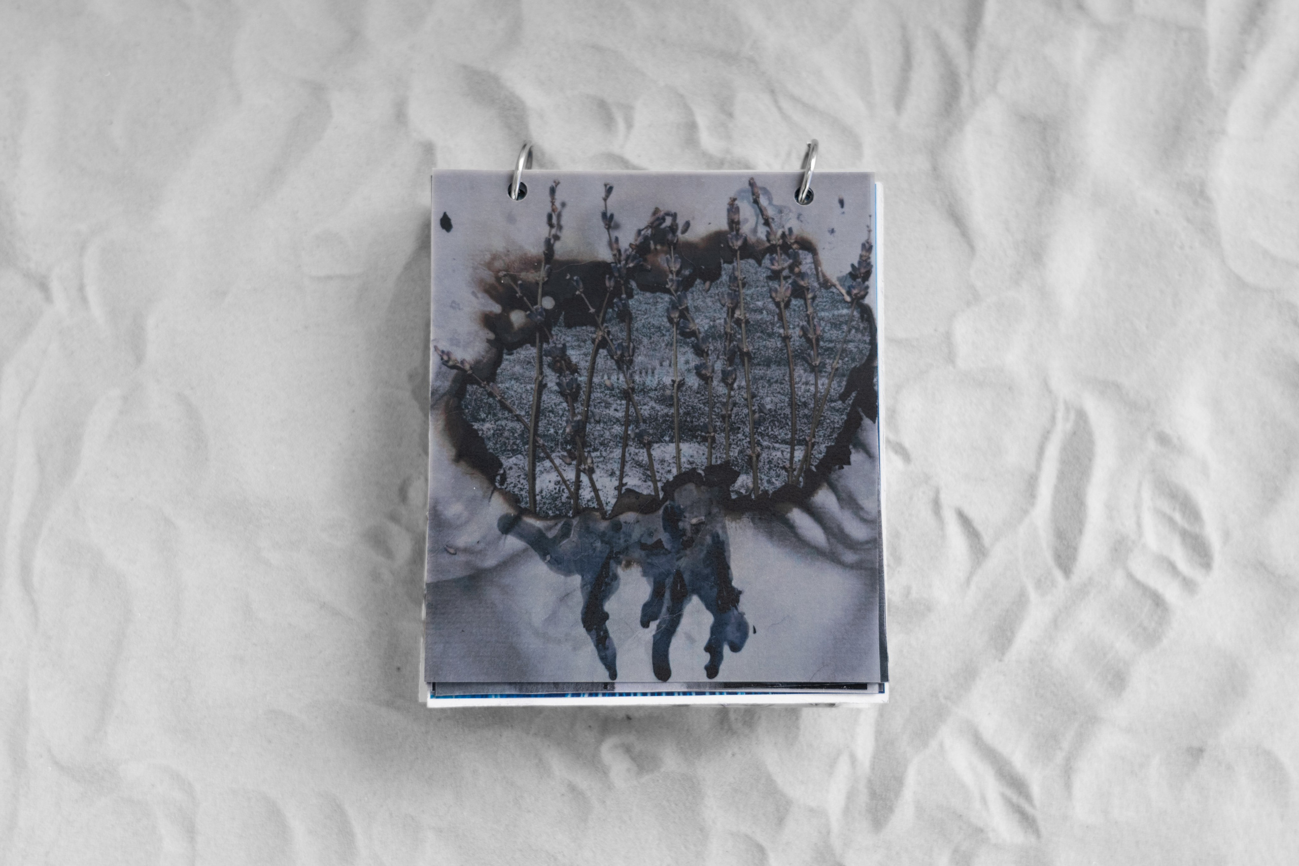 Укрытие. Катрин Эдельвак