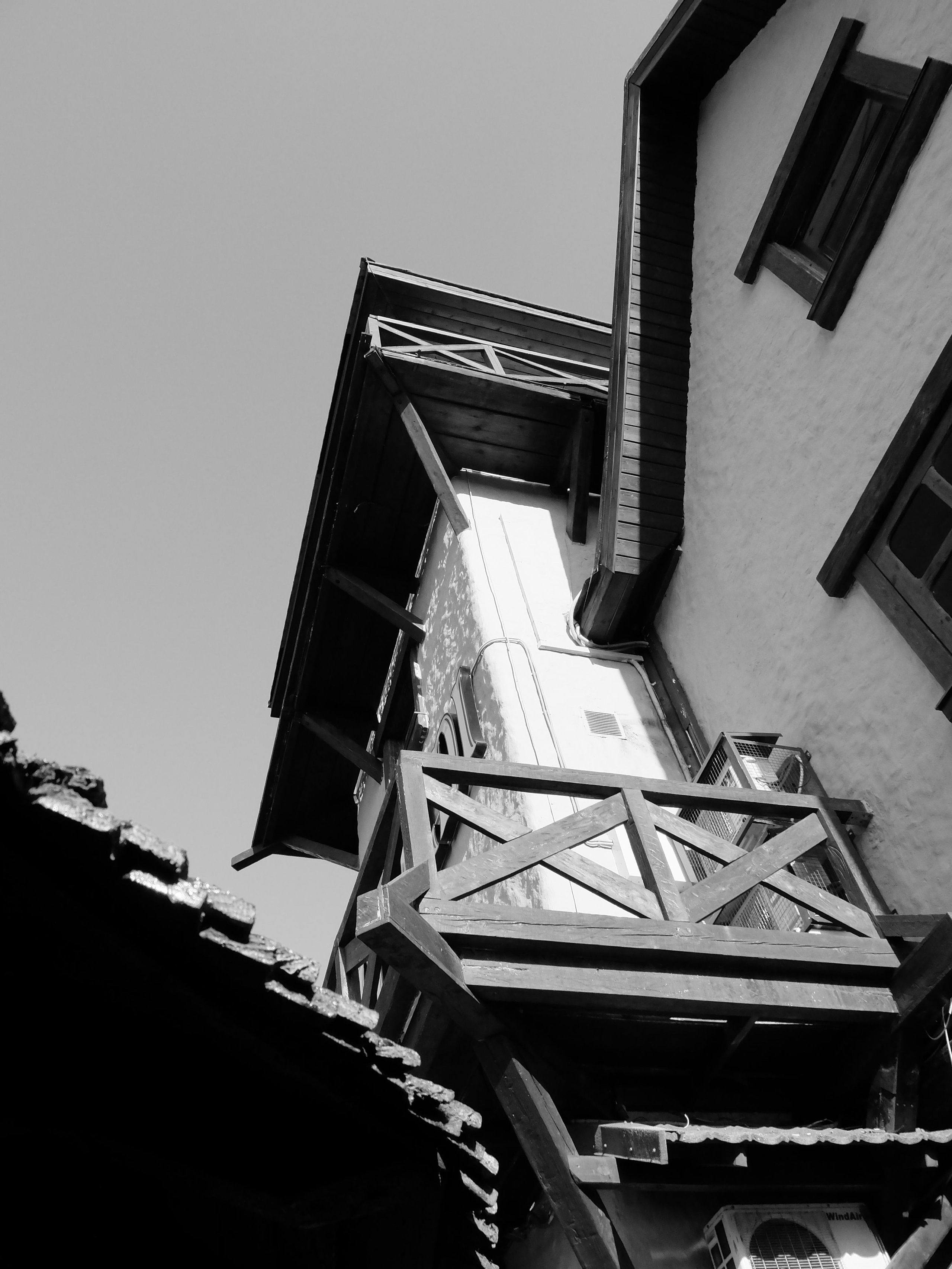 Pivaldi. Фотографъ Сергѣевъ. Поймать мгновеніе