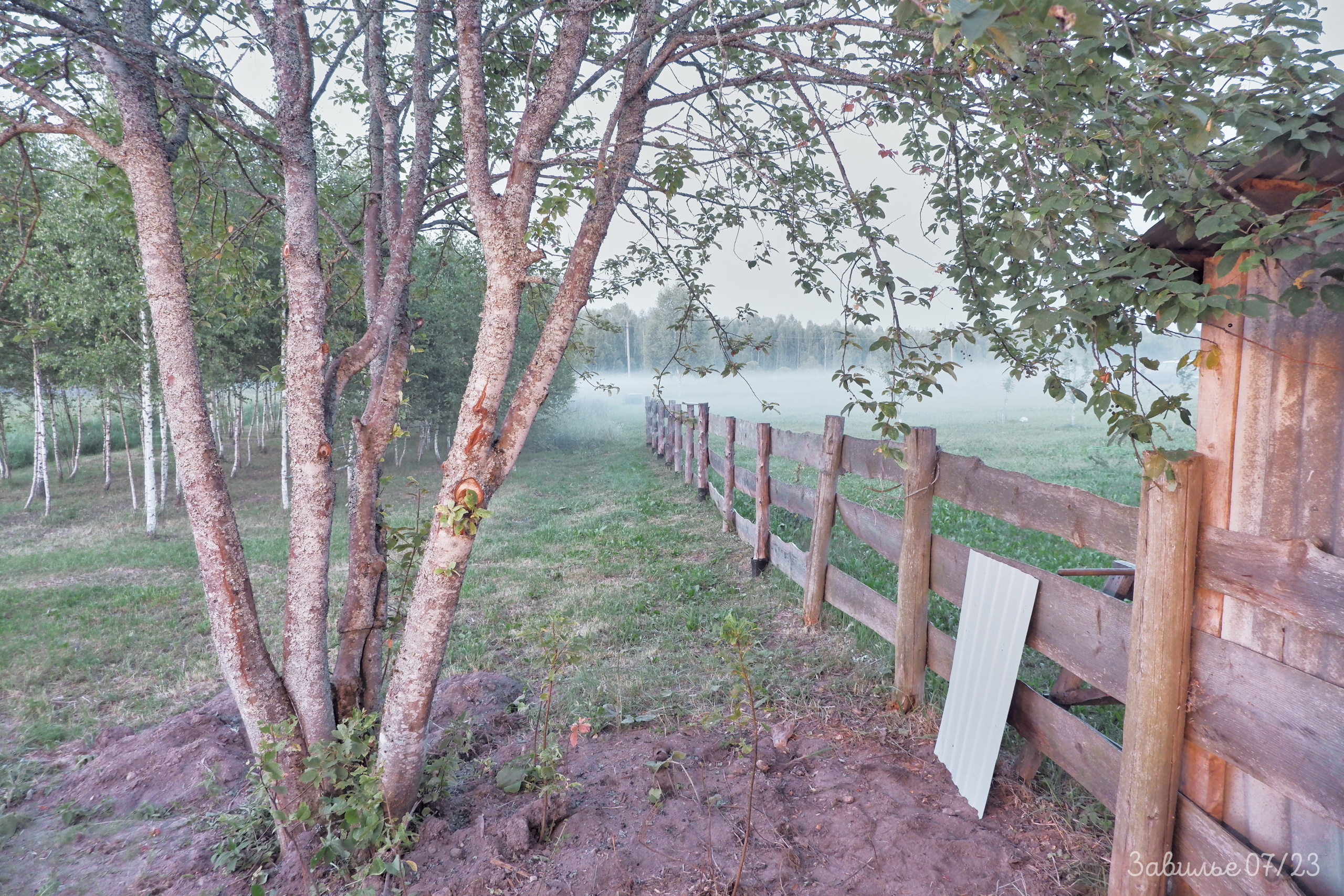 Сарай бар. Фотографъ Сергѣевъ. Поймать мгновеніе