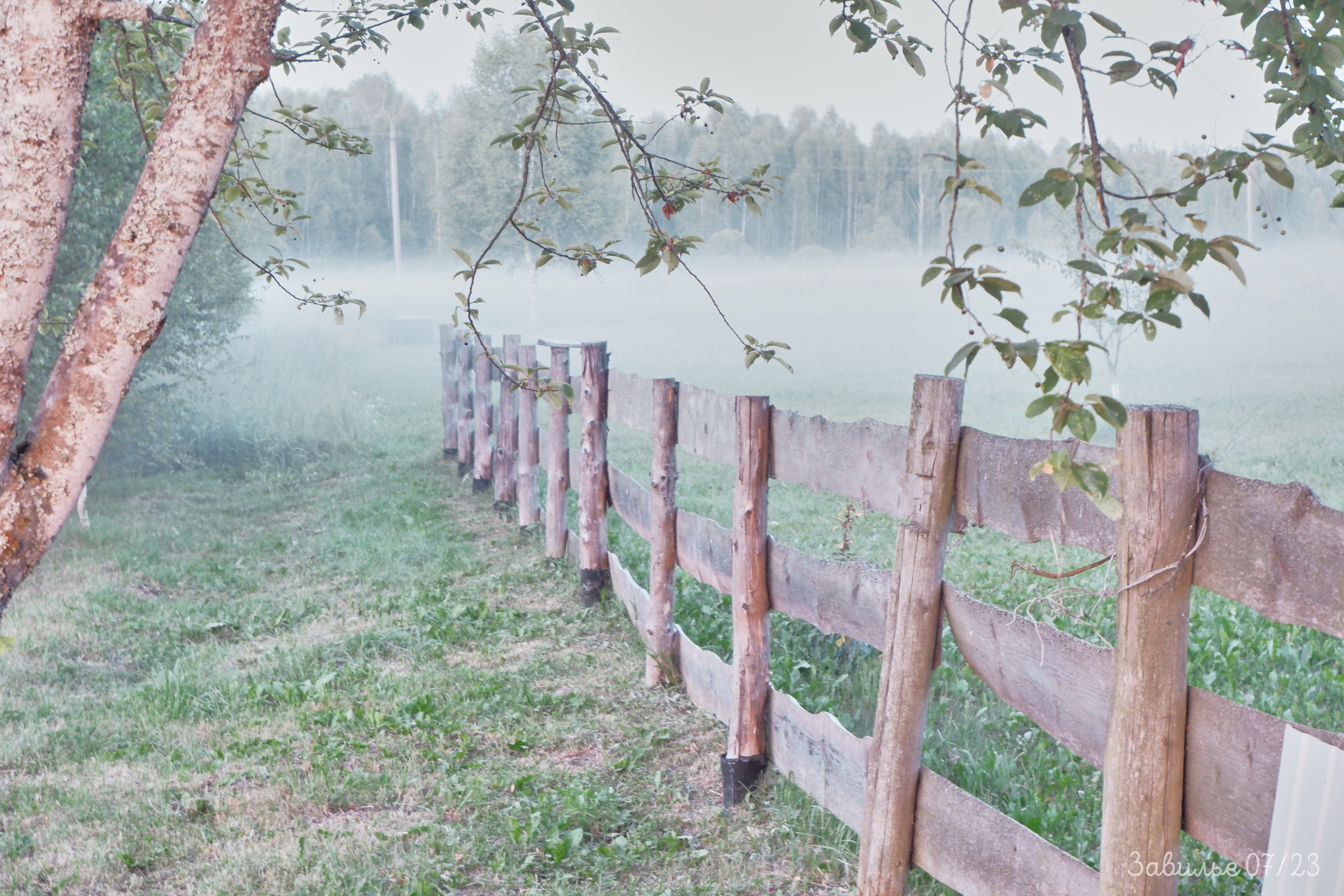 Сарай бар. Фотографъ Сергѣевъ. Поймать мгновеніе