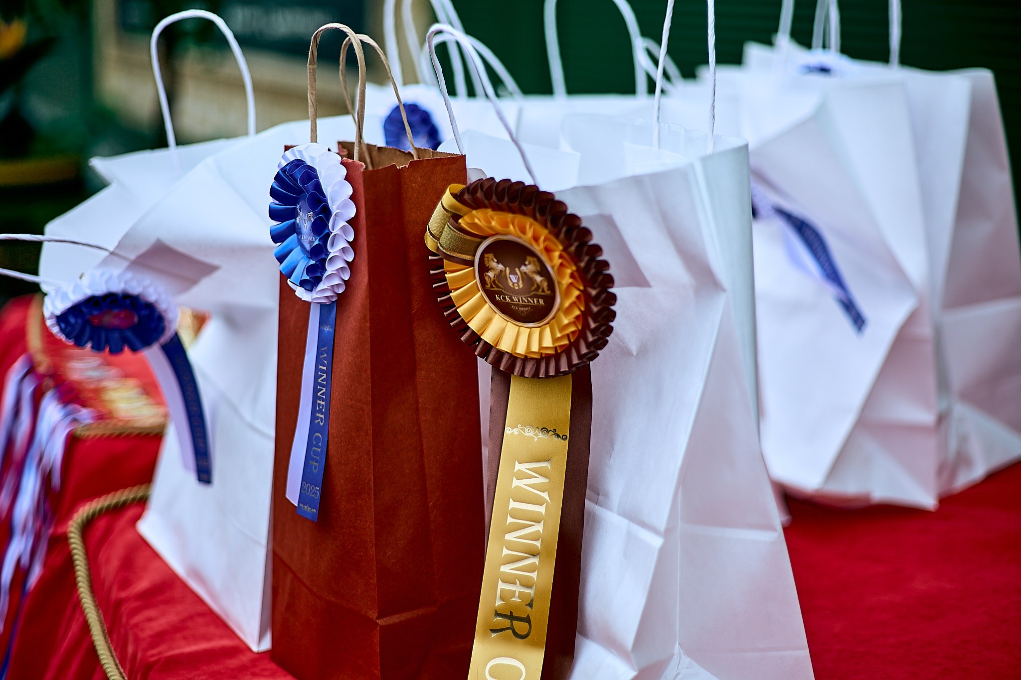 Выездка в КСК «WINNER»