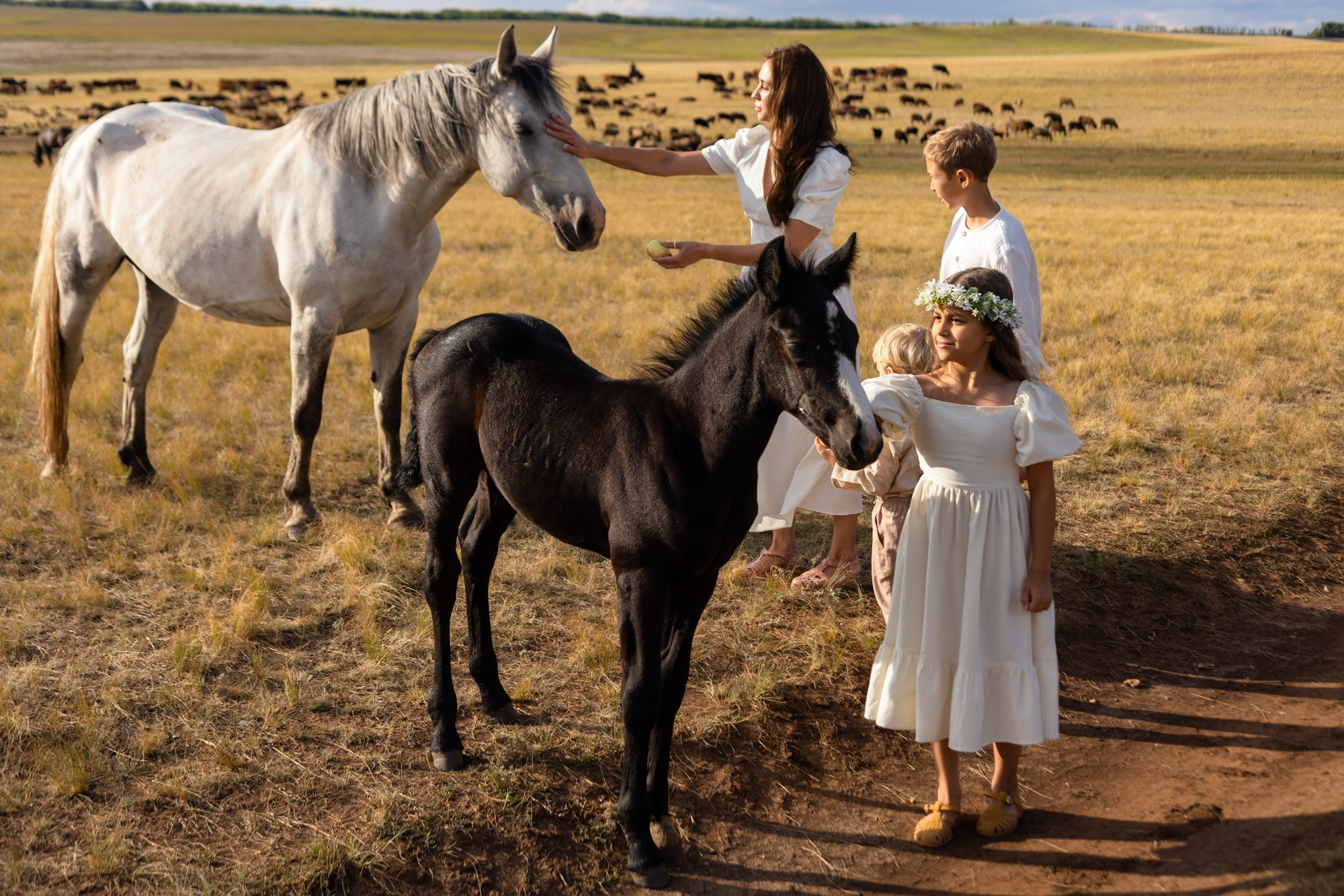 Семейная фотосессия в поле. Фотограф в Оренбурге. Профессиональный фотограф