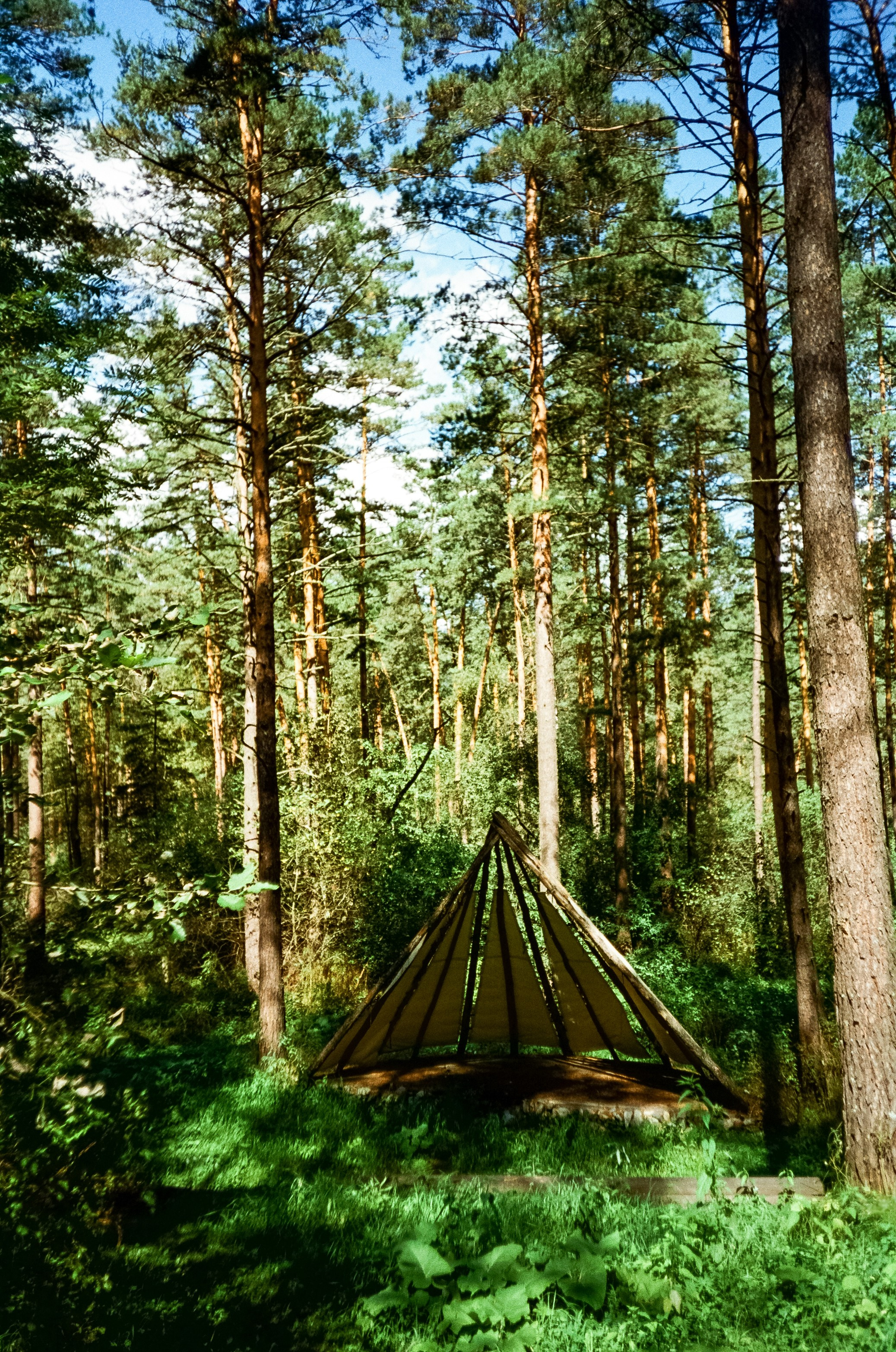 Ботанический сад в солнечный день. Фотограф-документалист Мария Осокина
