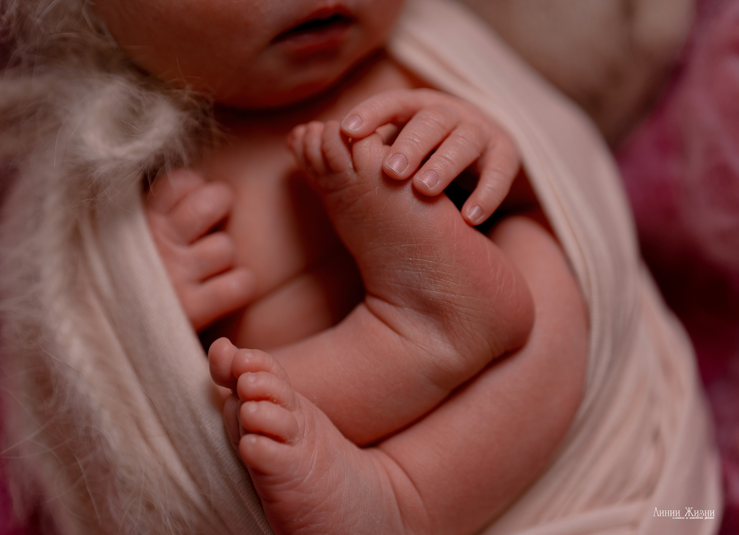 Кира 6 дней. Фотограф новорожденных в Нижнем Новгороде Сергеева Оксана