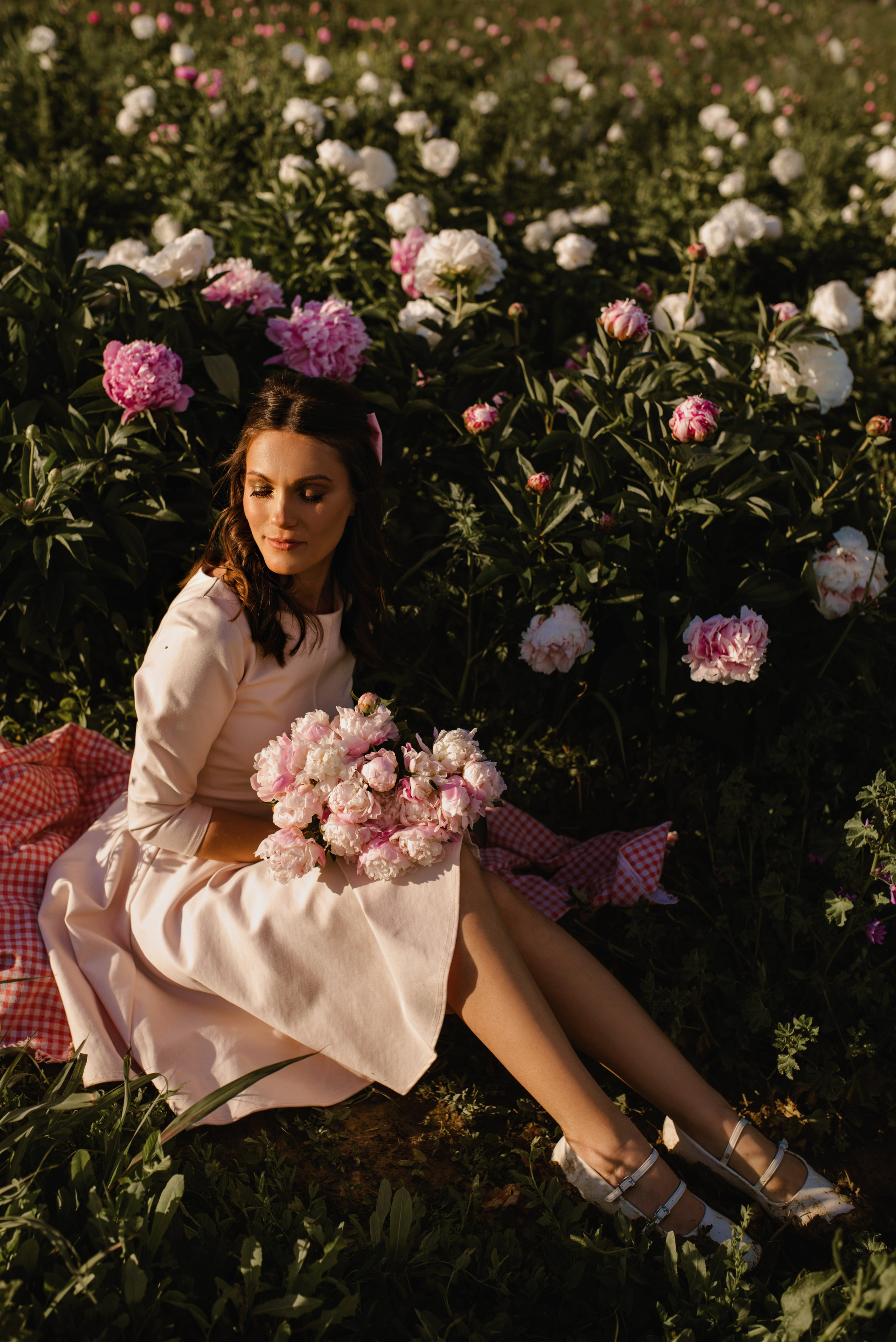 Champs de pivoines. Photographer in Provence Julia Lipiainen