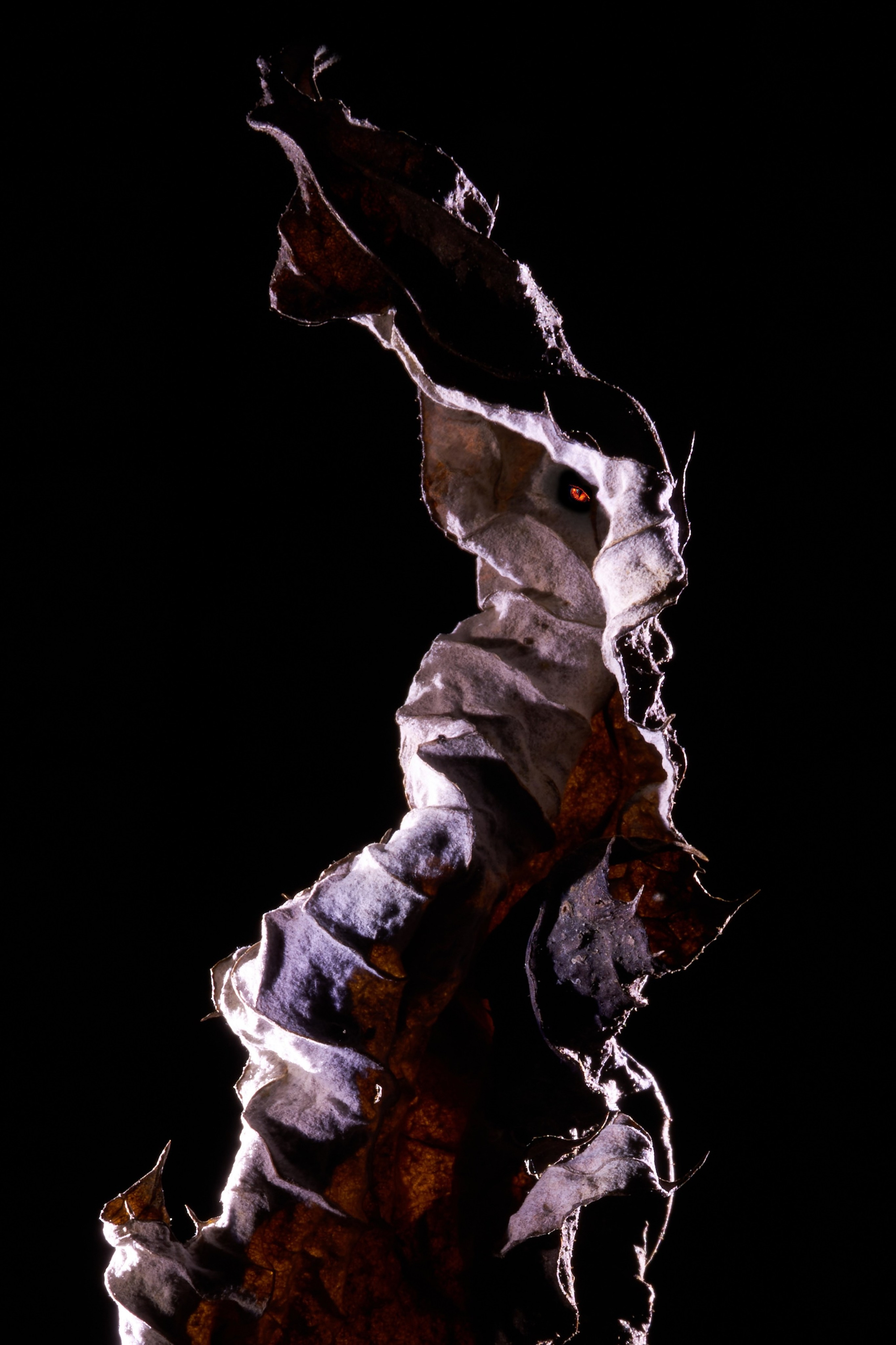 «Тебе кажется…?». Арт-фотограф во Владивостоке Дмитрий Осипчук