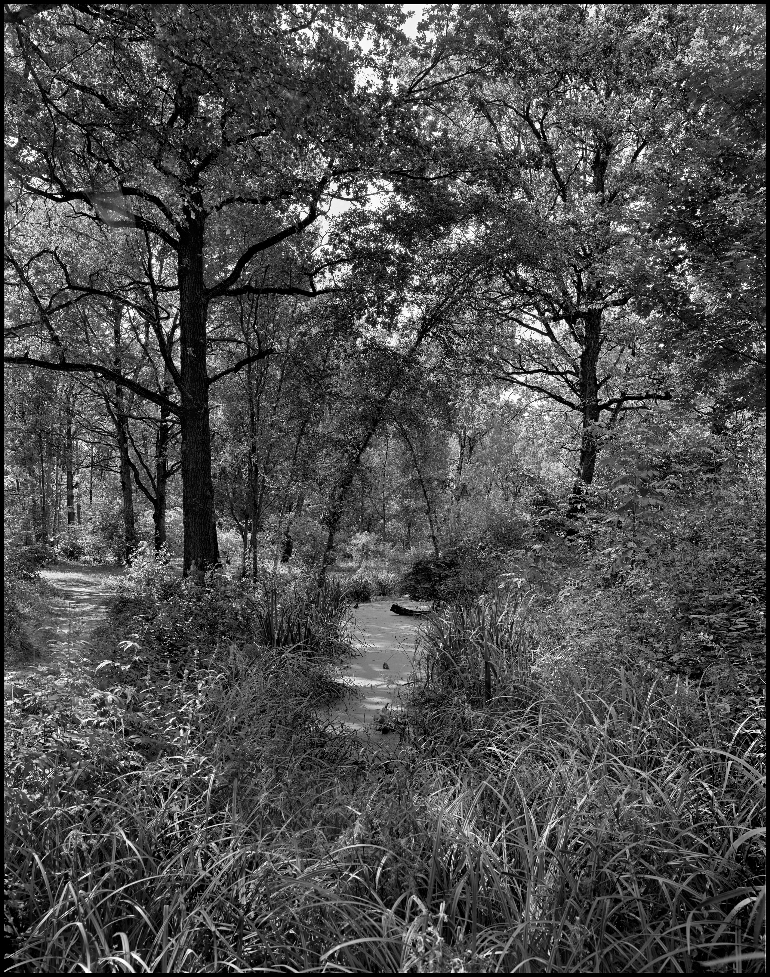 Landscape. Sergey Kondriuk art-photographer | artist