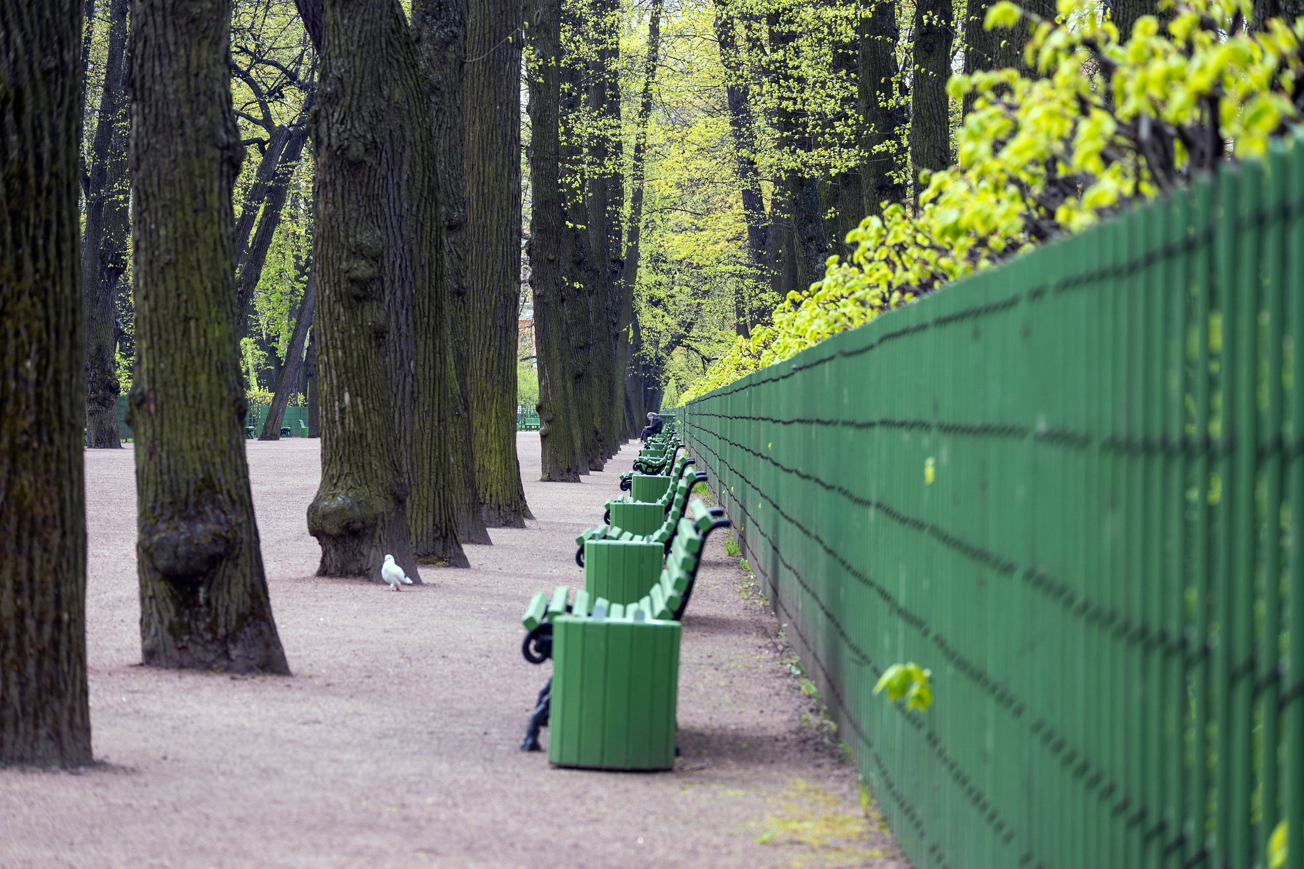 Фотограф из Боровска в Калужской области