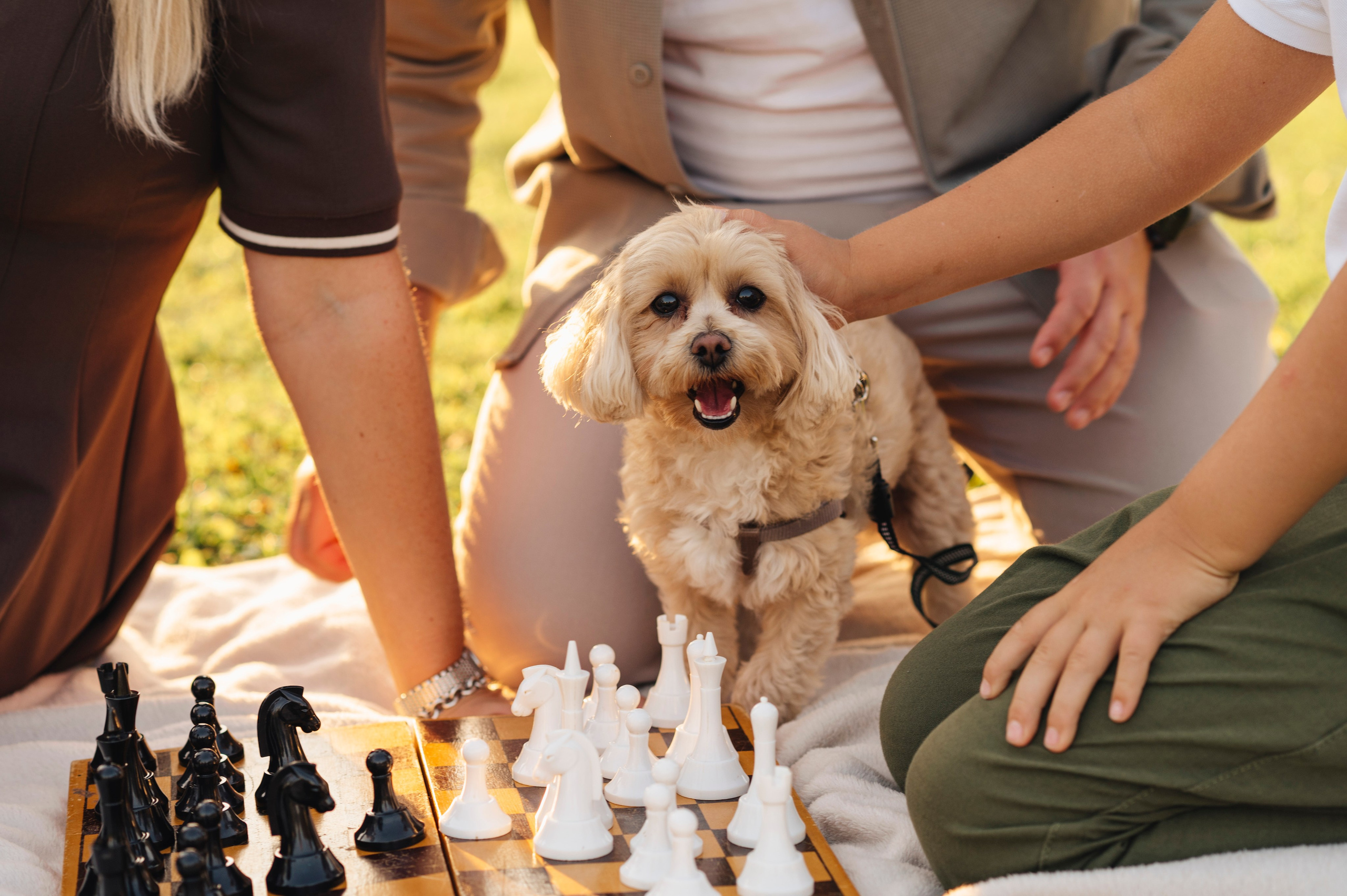 Семейная фотосессия на природе. Анна Боровикова, фотограф Пушкино