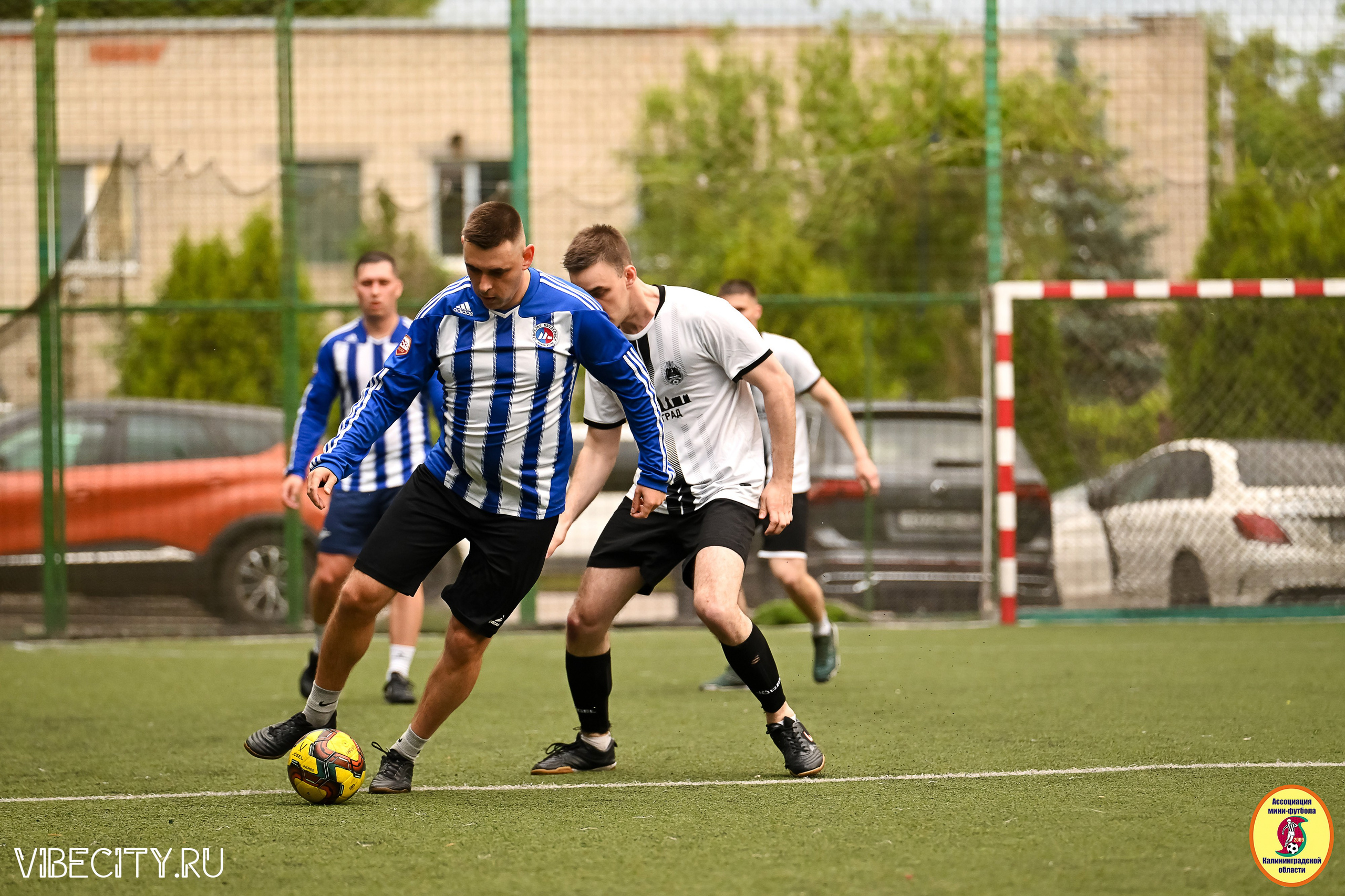 ИГРЫ МИНИ-ФУТБОЛЬНОЙ И КОРПОРАТИВНОЙ ЛИГИ. VIBECITY.RU Вайб Сити Ру Фоторепортажи Фотоотчеты Калининград