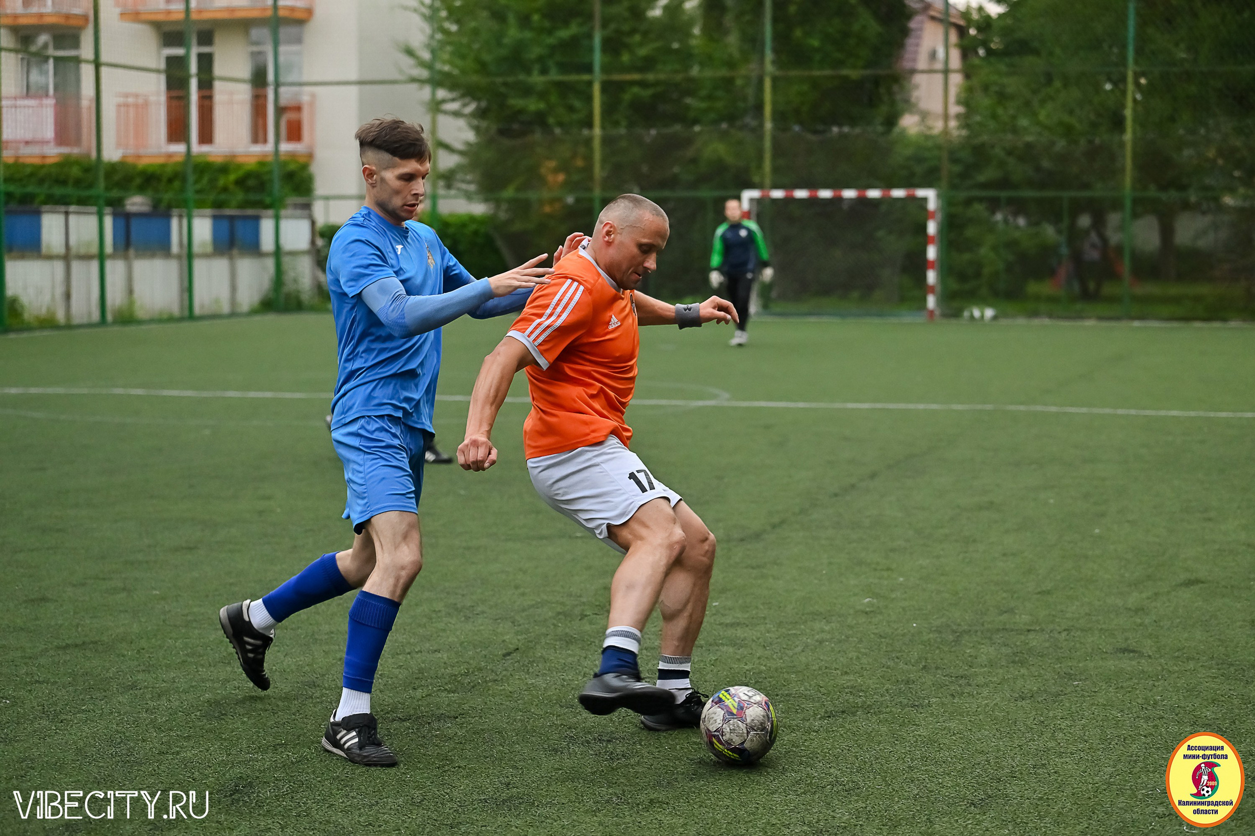 ИГРЫ МИНИ-ФУТБОЛЬНОЙ И КОРПОРАТИВНОЙ ЛИГИ. VIBECITY.RU Вайб Сити Ру Фоторепортажи Фотоотчеты Калининград