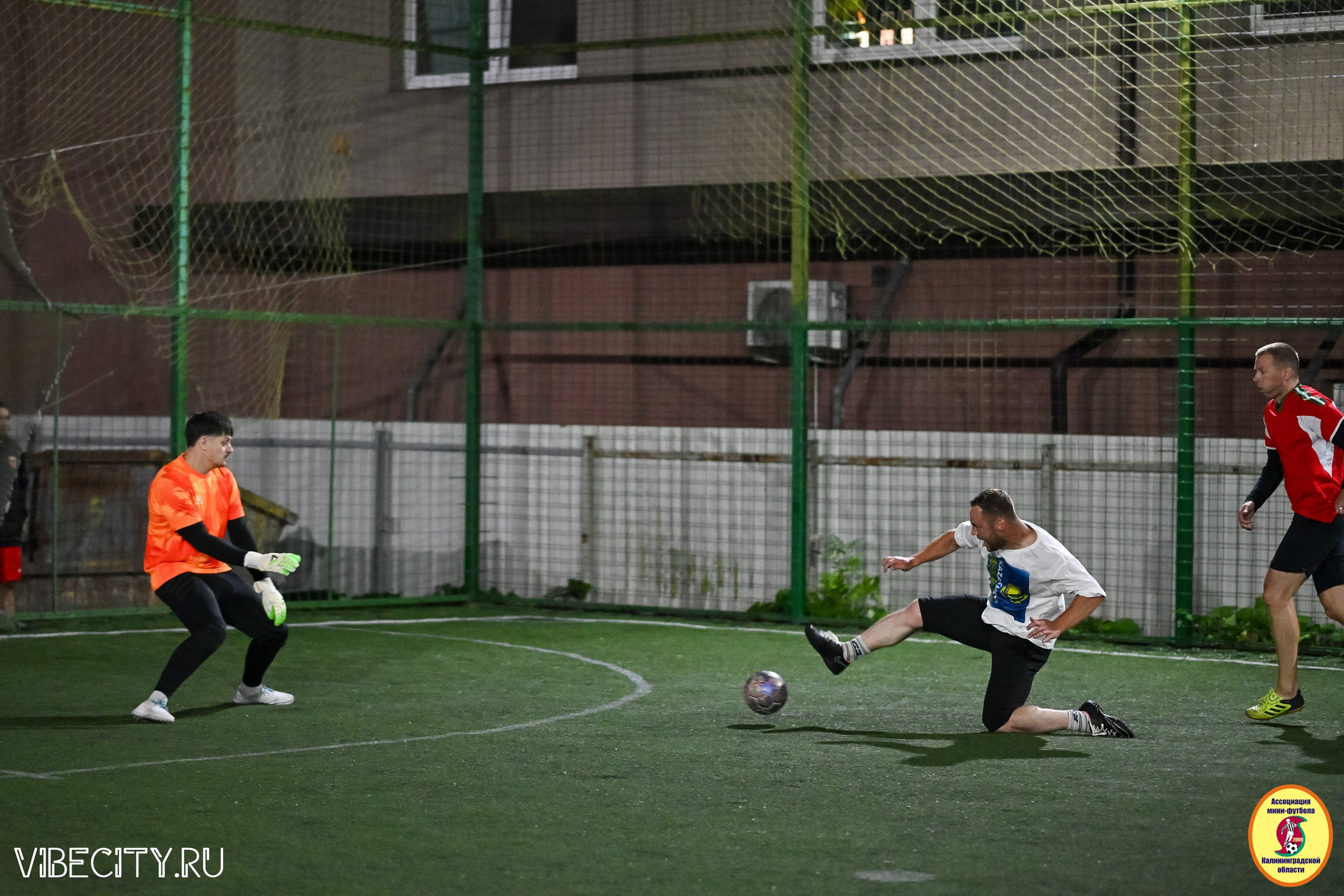 КУБОК ДРУЖБЫ. VIBECITY.RU Вайб Сити Ру Фоторепортажи Фотоотчеты Калининград