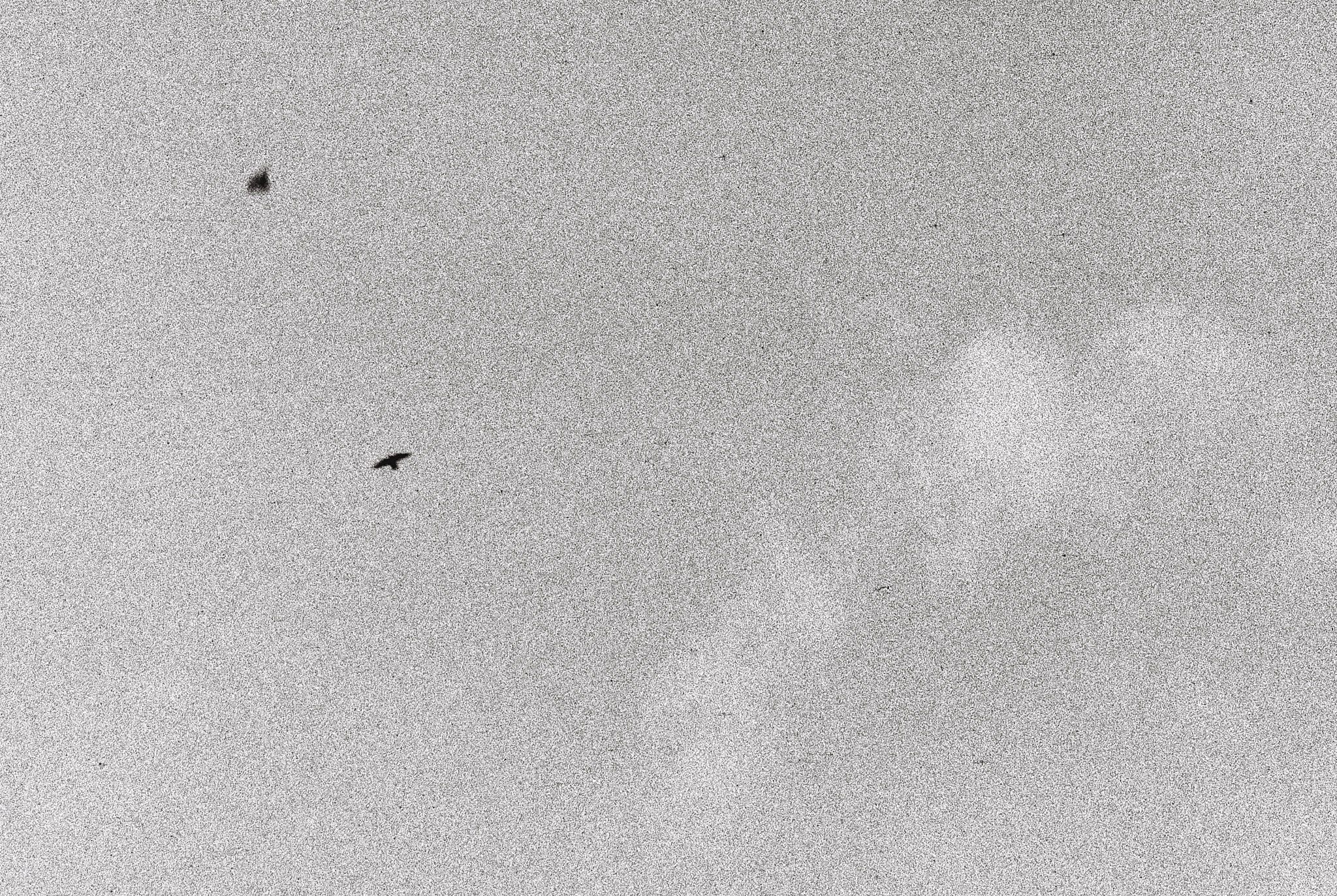 Пьюти-фьют. Игорь Скабелин