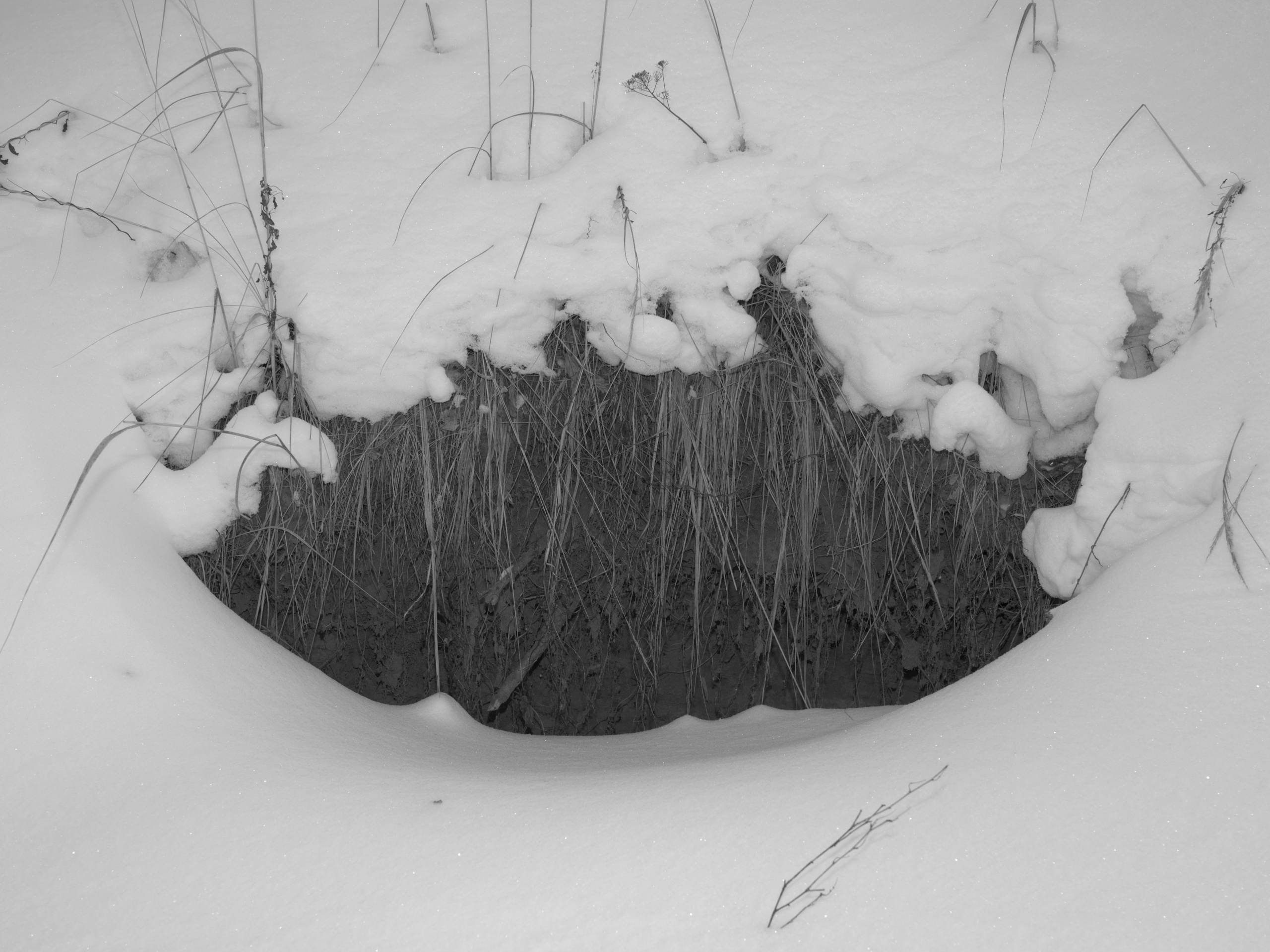 Distance. Artem Glukhan