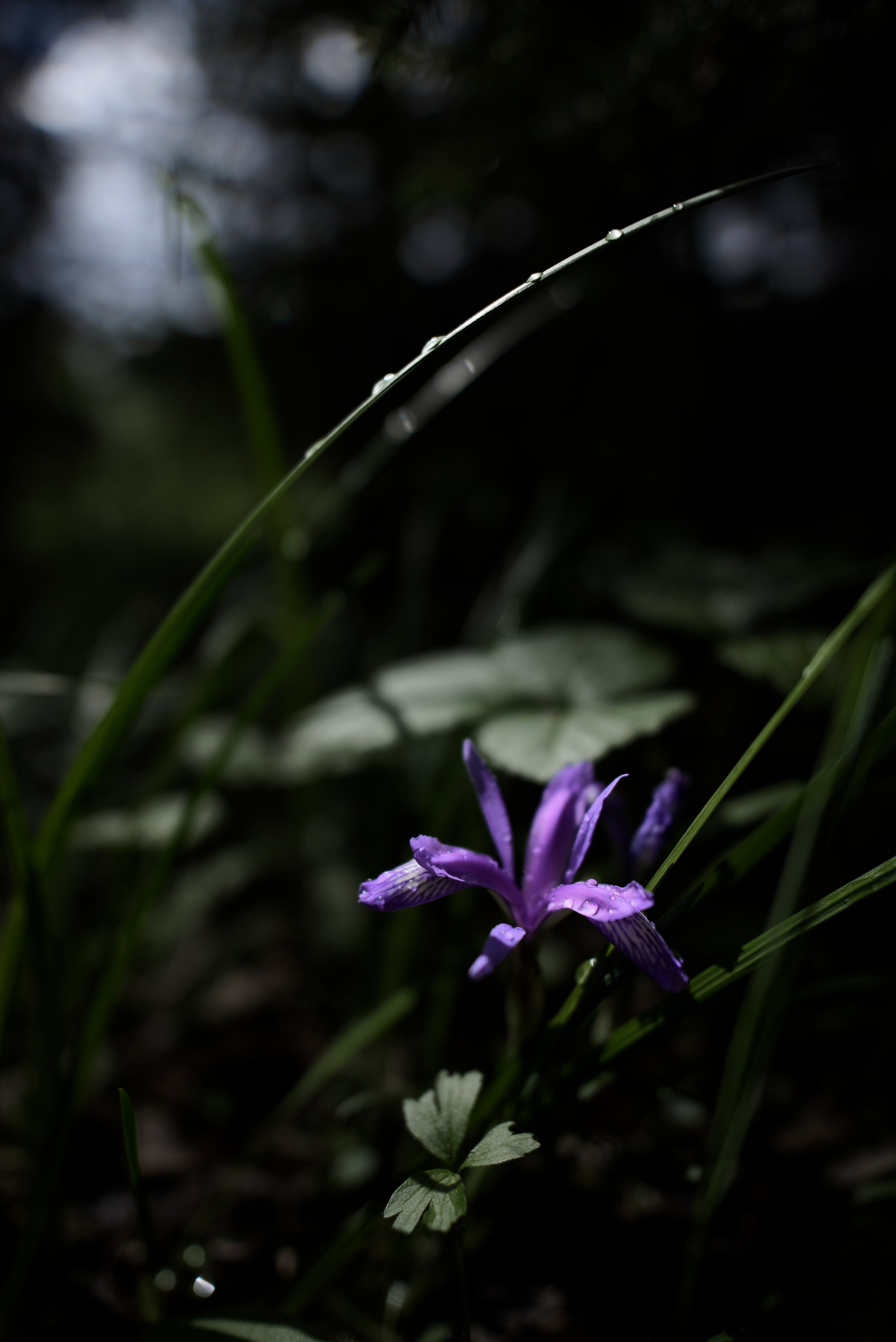 Экспедиция в Монголию (котловина больших озер). Семоха Валерий. Фотограф