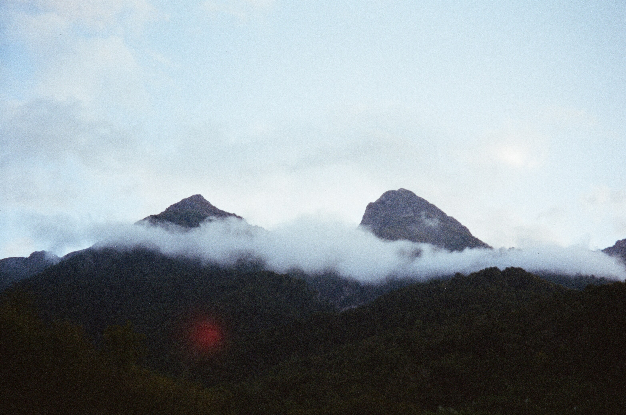 Женские портреты. Алина Арбузова. Фотограф в Санкт-Петербурге