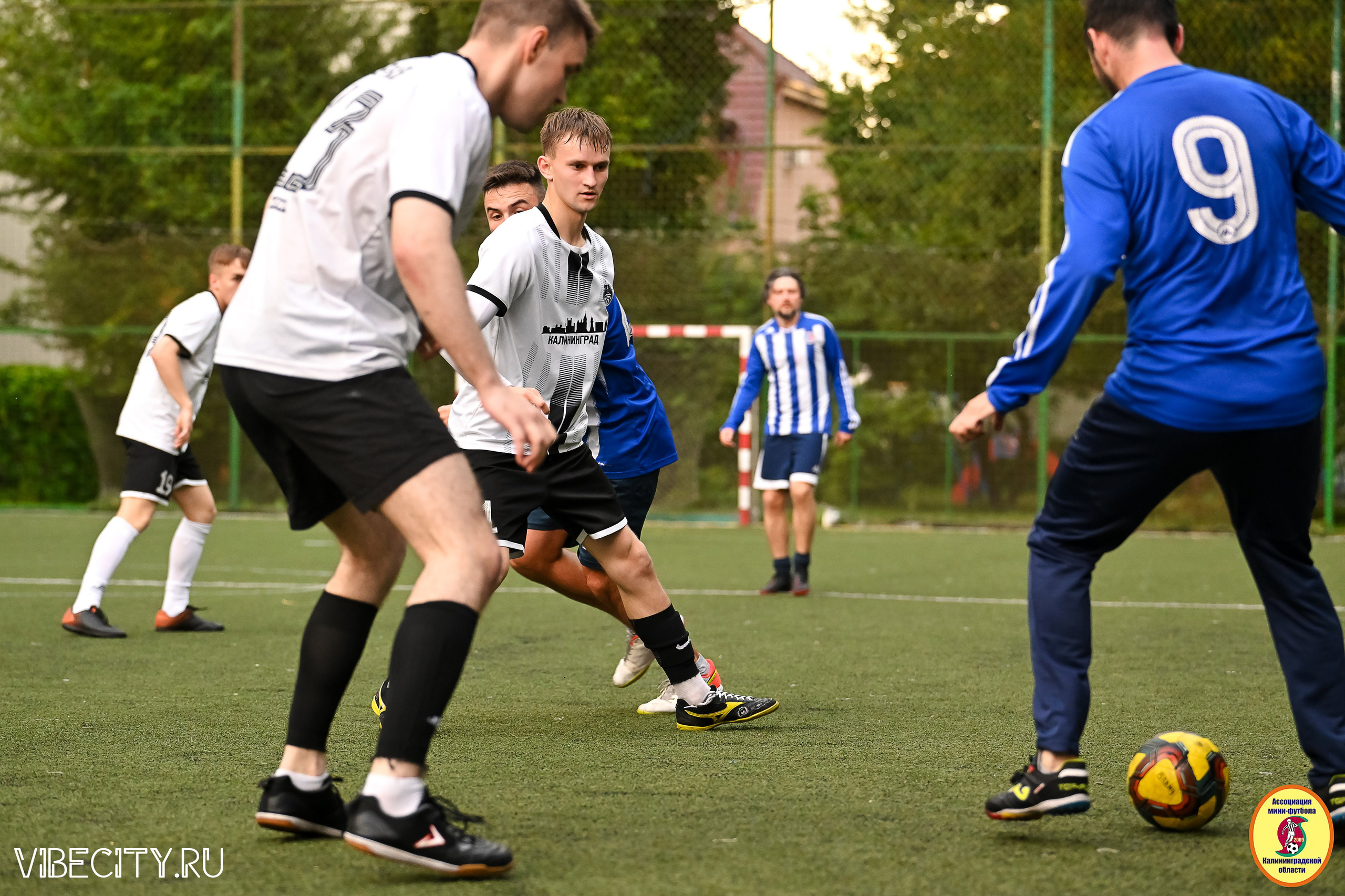 ИГРЫ МИНИ-ФУТБОЛЬНОЙ И КОРПОРАТИВНОЙ ЛИГИ. VIBECITY.RU Вайб Сити Ру Фоторепортажи Фотоотчеты Калининград