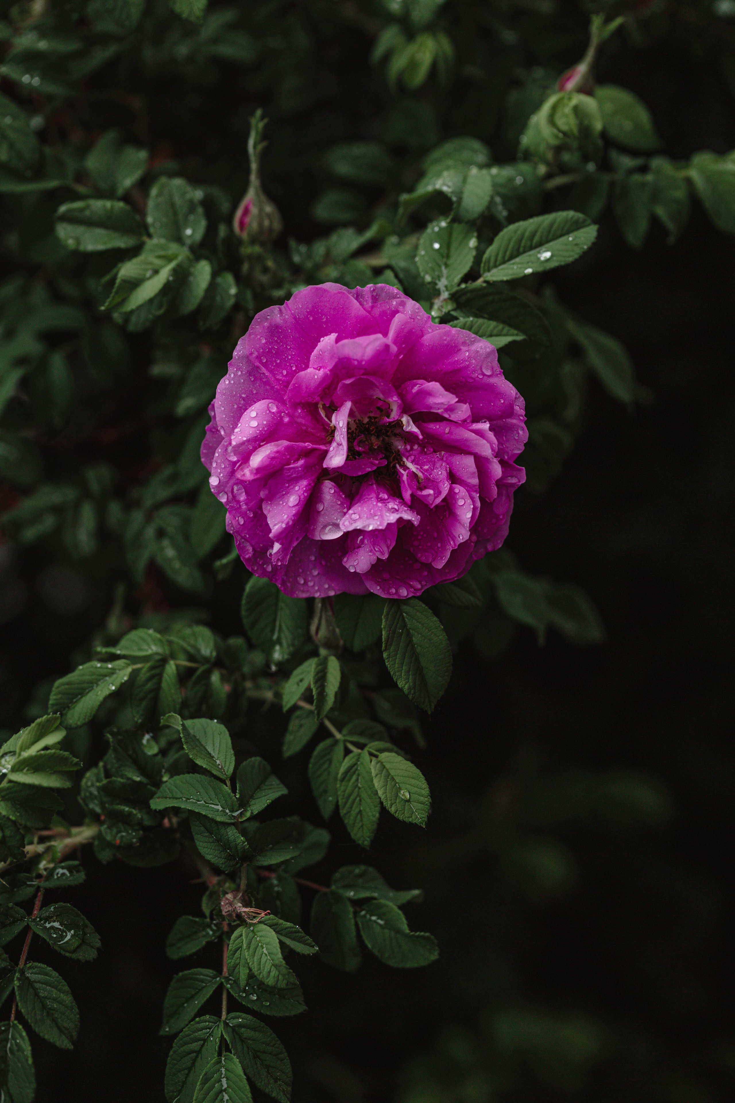 Green. Фотограф Олеся Кавлакан