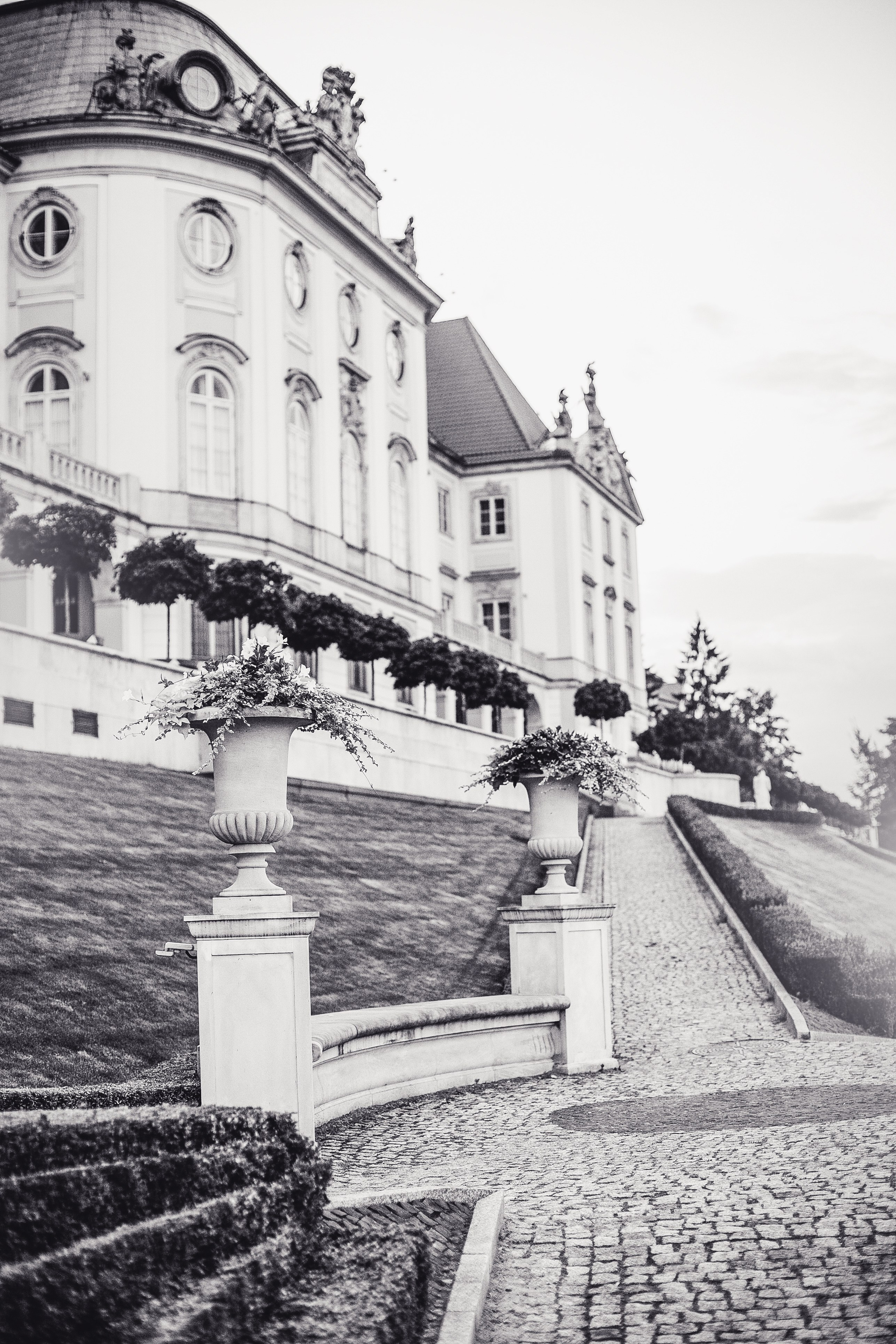 Услуги. Фотограф РБ