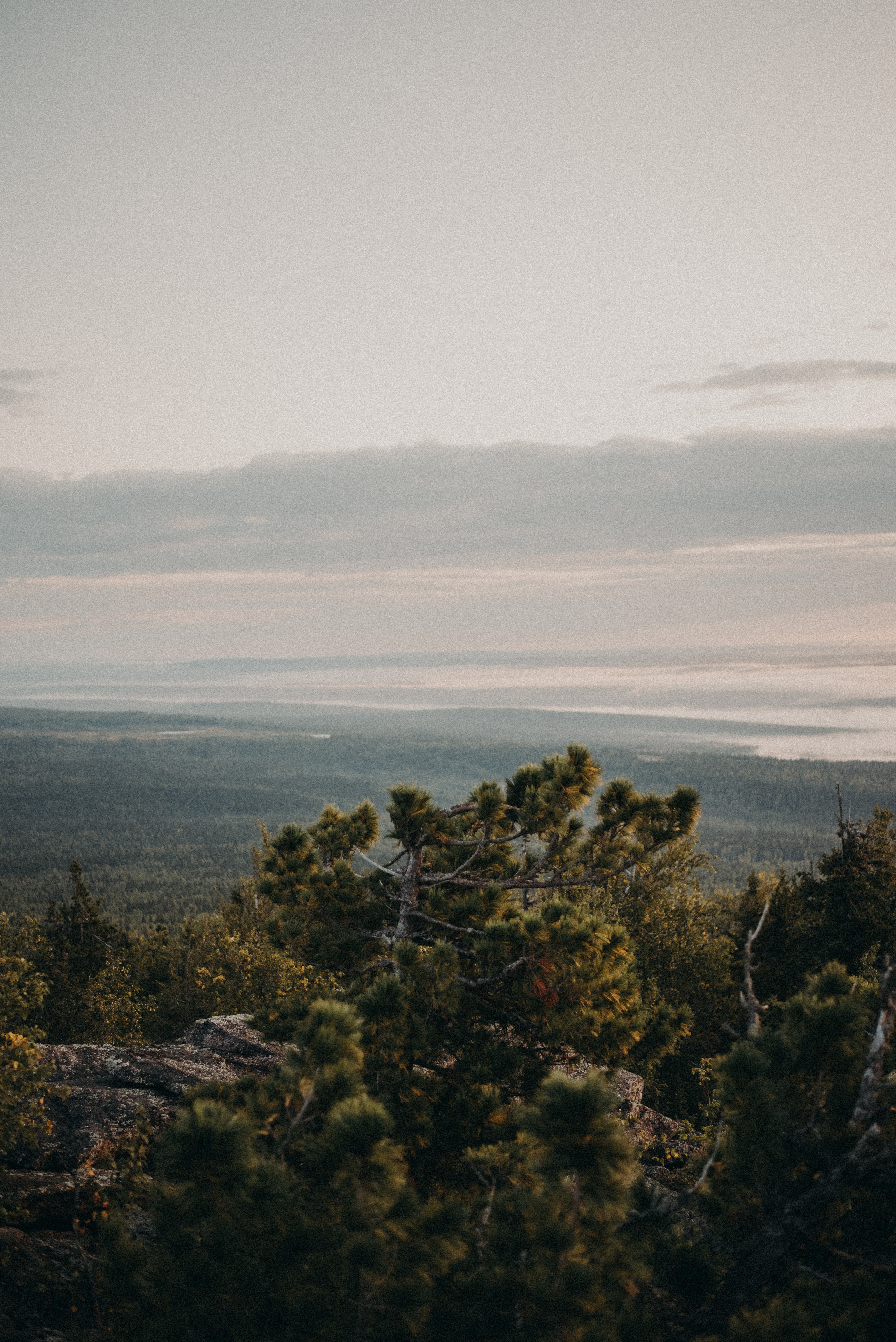 Два дня на Вишере. Главная