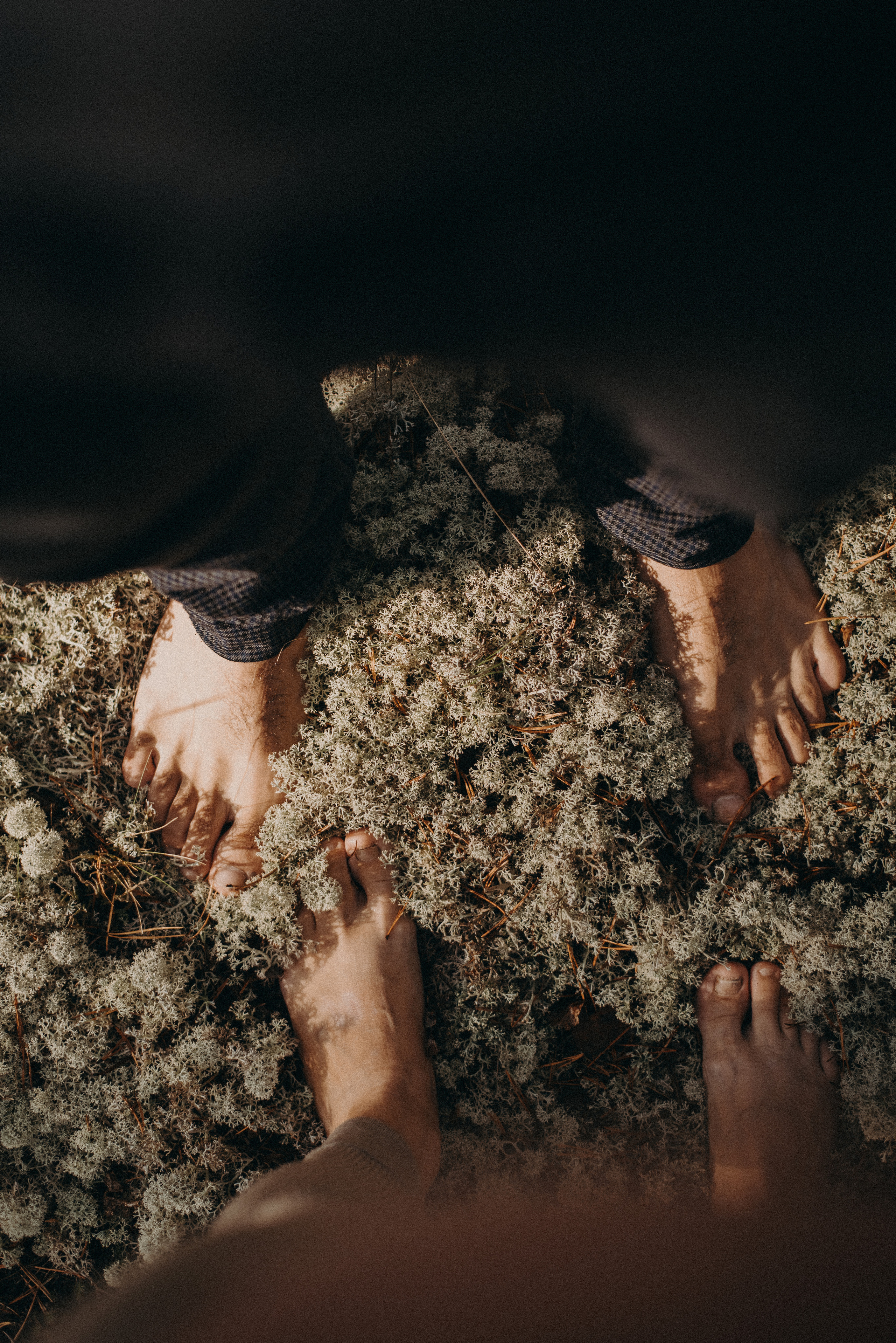 Два дня на Вишере. Главная