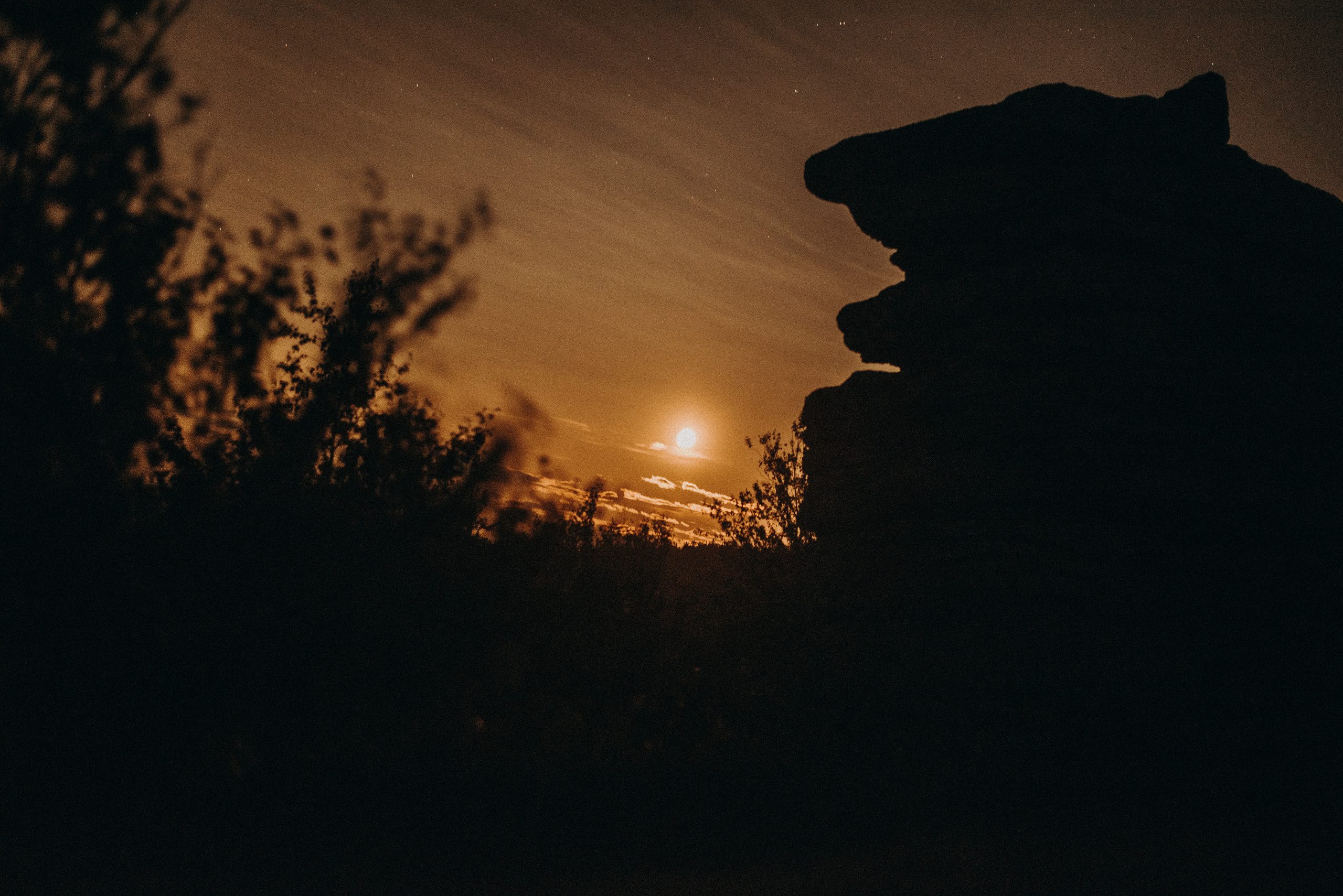 Два дня на Вишере. Главная