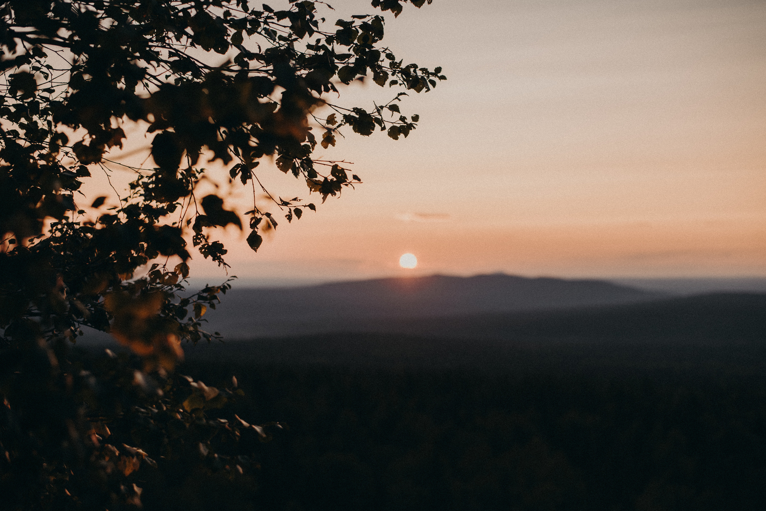 Два дня на Вишере. Главная