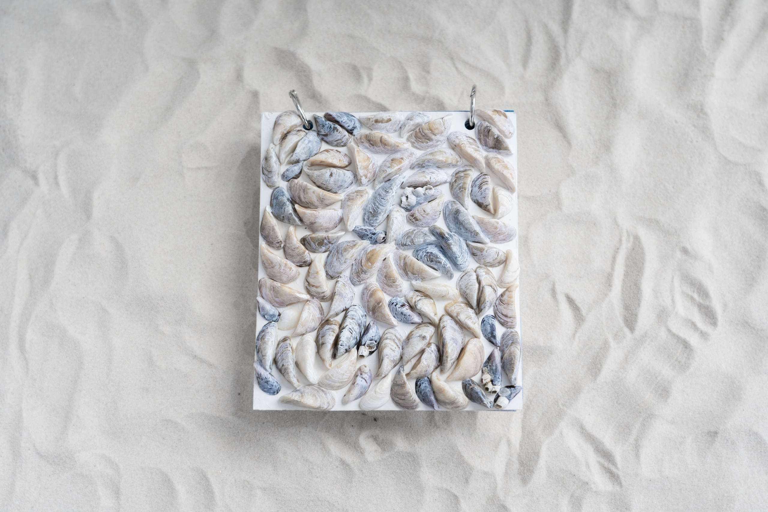 Укрытие. Катрин Эдельвак