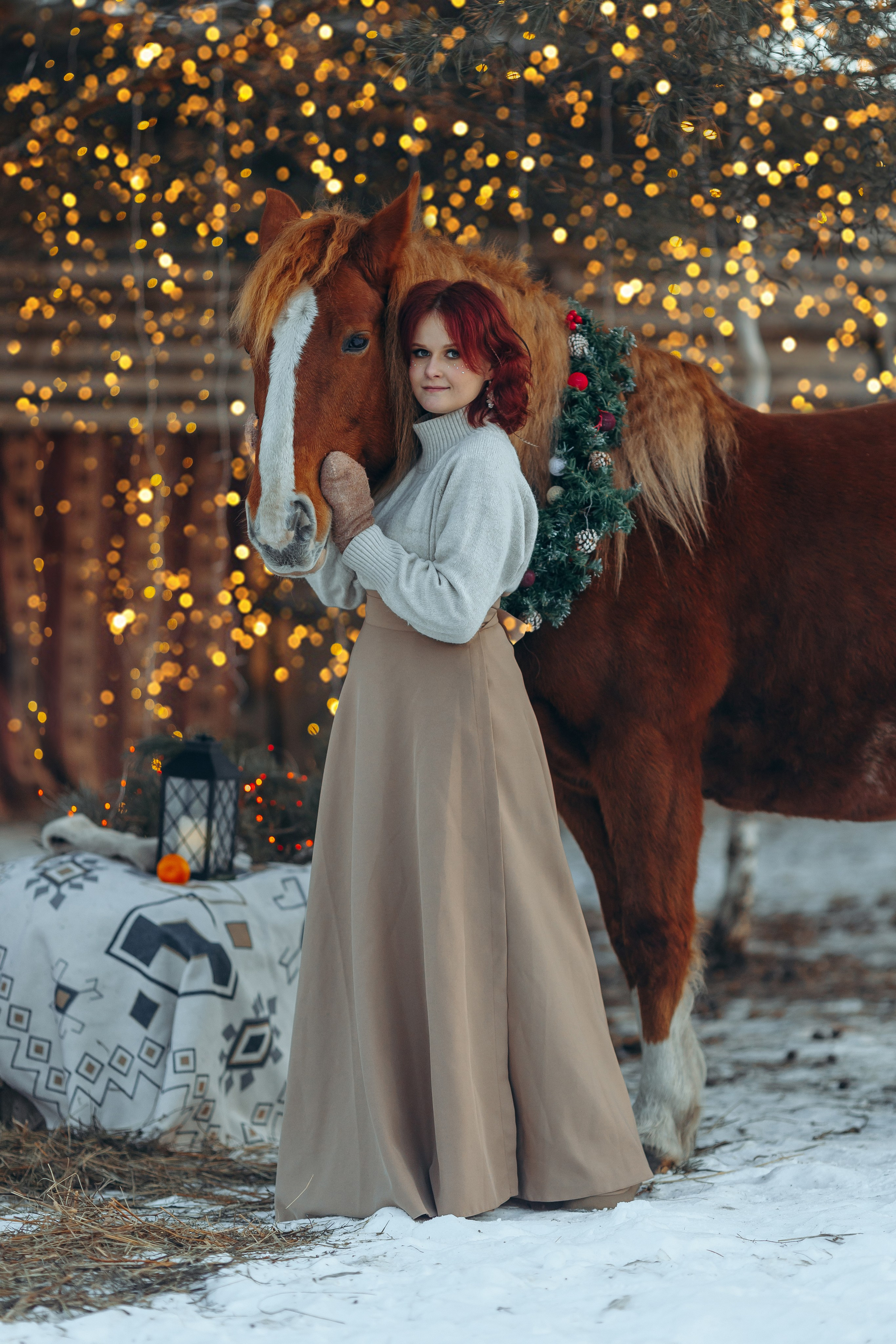 Тариф новогодний 2024. Анна Молчанова конный фотограф в Тюмени | фотосессии с лошадьми Тюмень