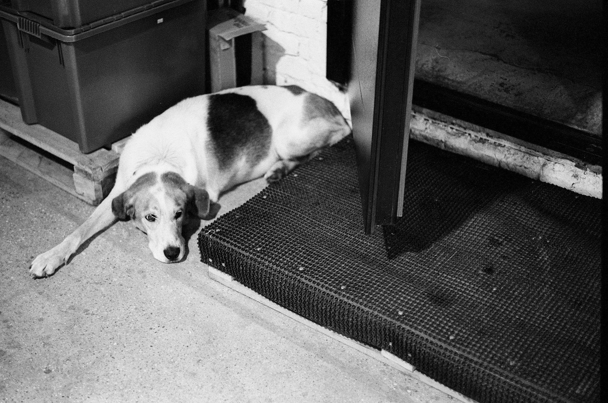 SuperFoodFarm. История фермы. Другой Павел Поцелуев. Фотограф в 2025 году