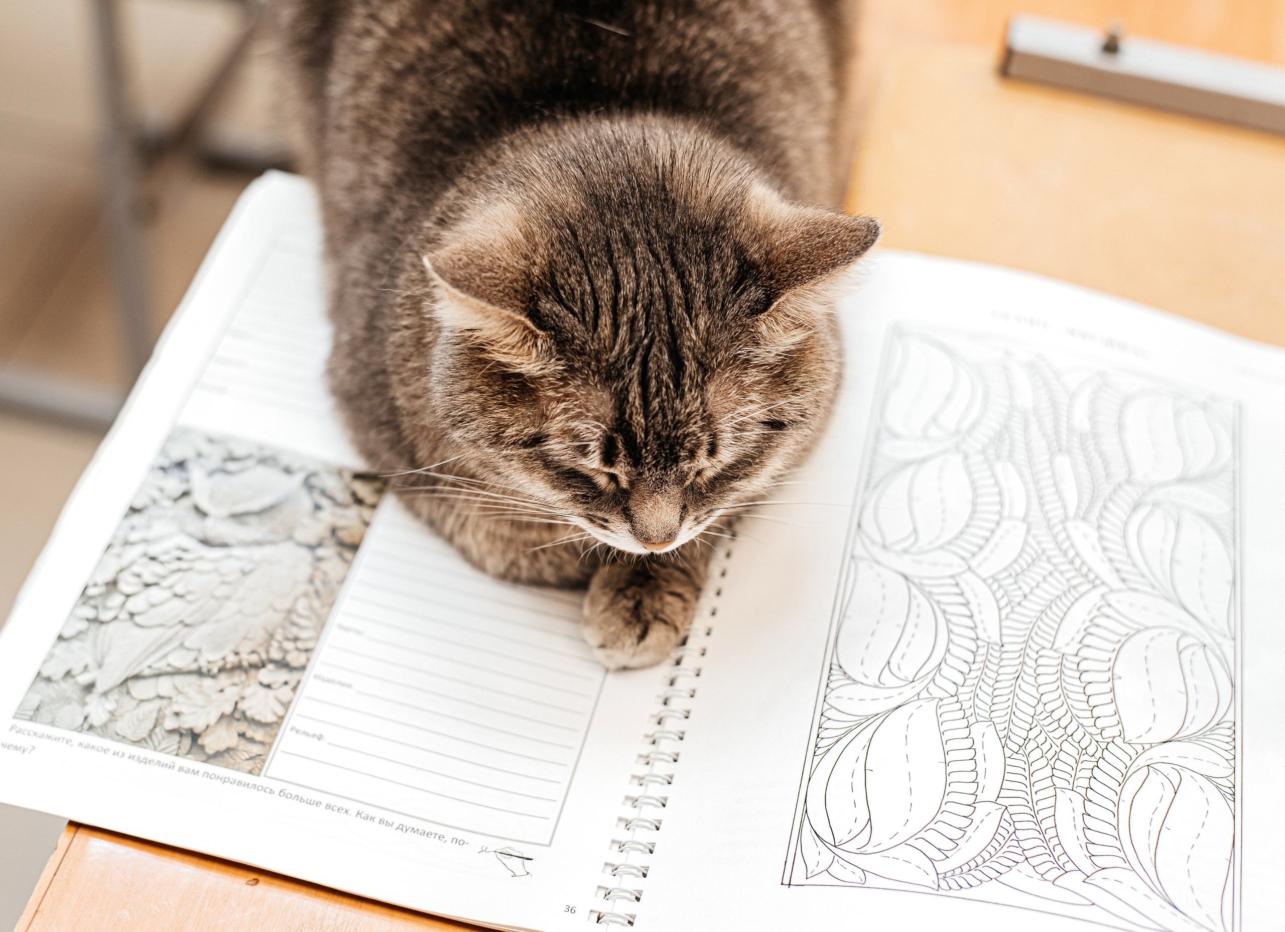 Александра Васильевна, она же Шуня, присутствует на занятиях, является терапевтом в группах людей с ОВЗ, которые занимаются в школе художественной резьбы.