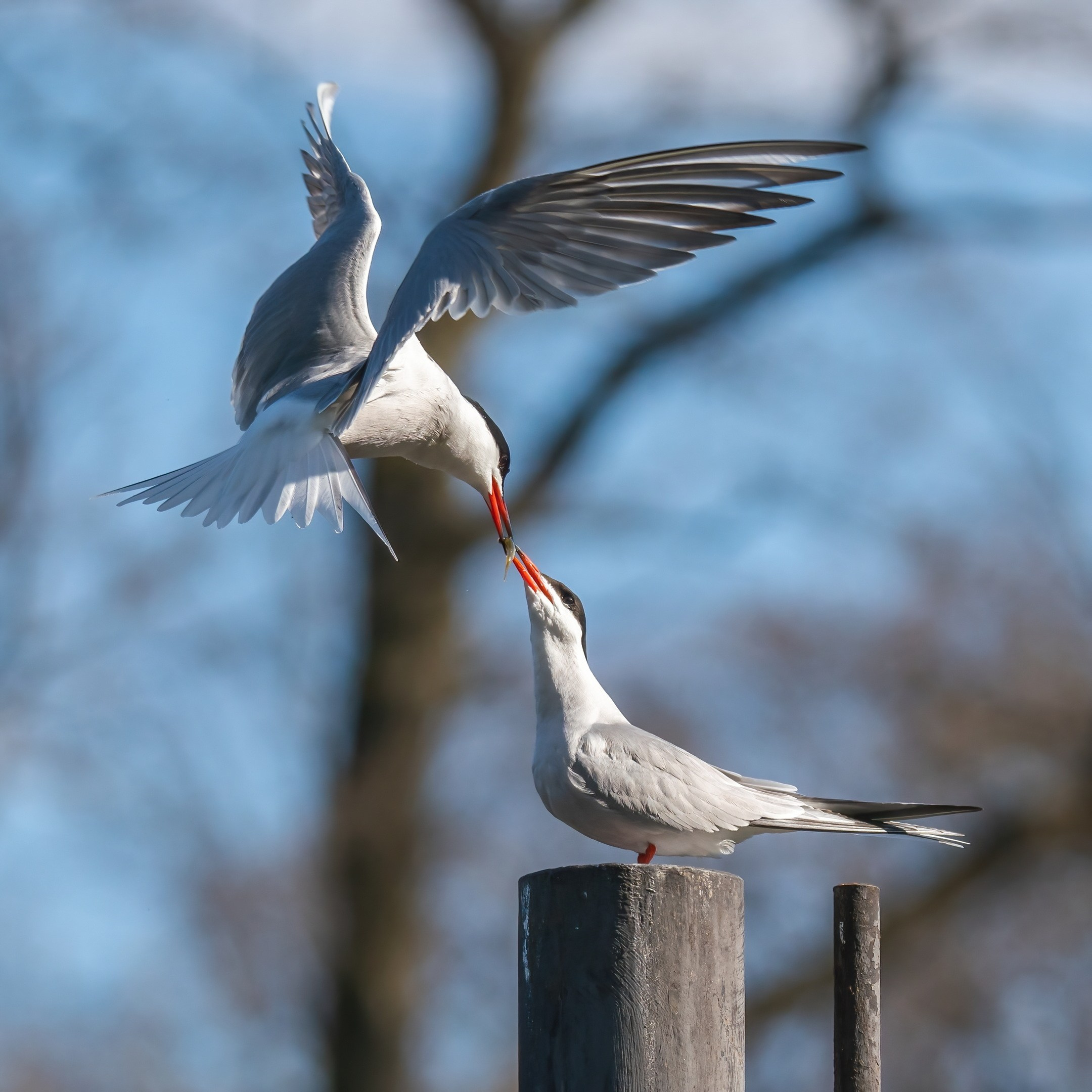 Творчество. Константин Дем | Фотограф