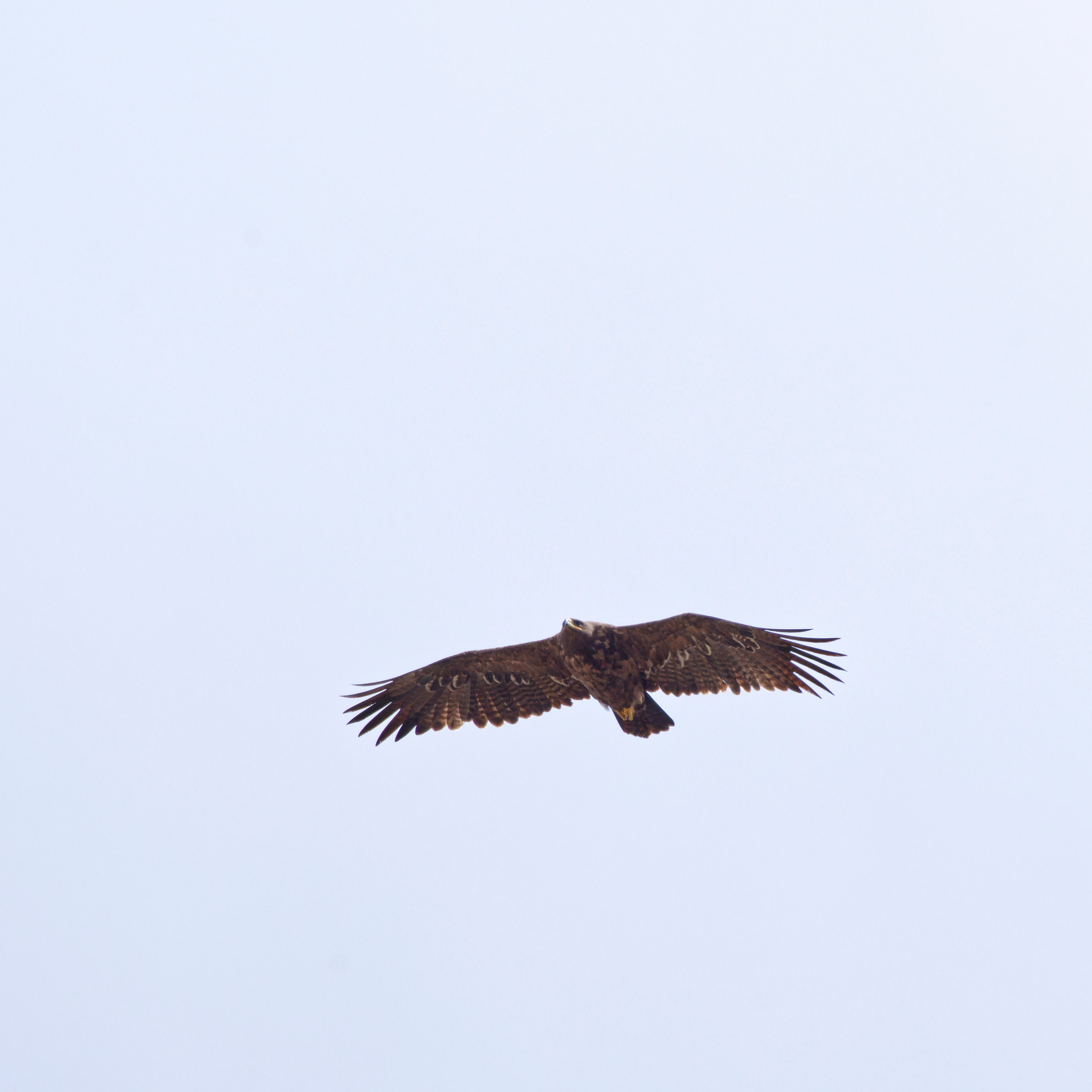 Путешествие по южному Алтаю. Семоха Валерий. Фотограф