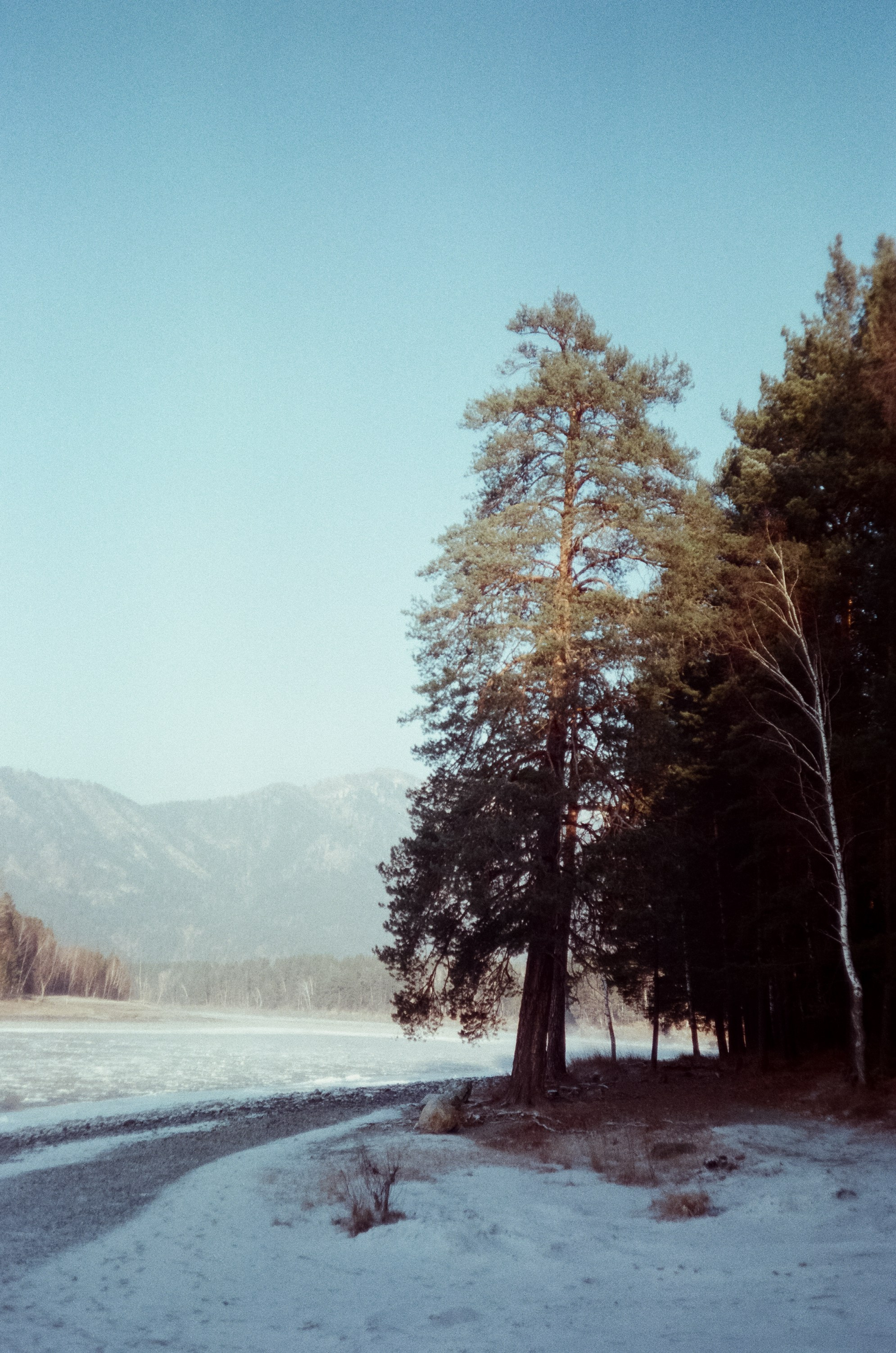 База Берель, Чемальский тракт трасса / 12 — 13 декабря 2023 года (-26℃